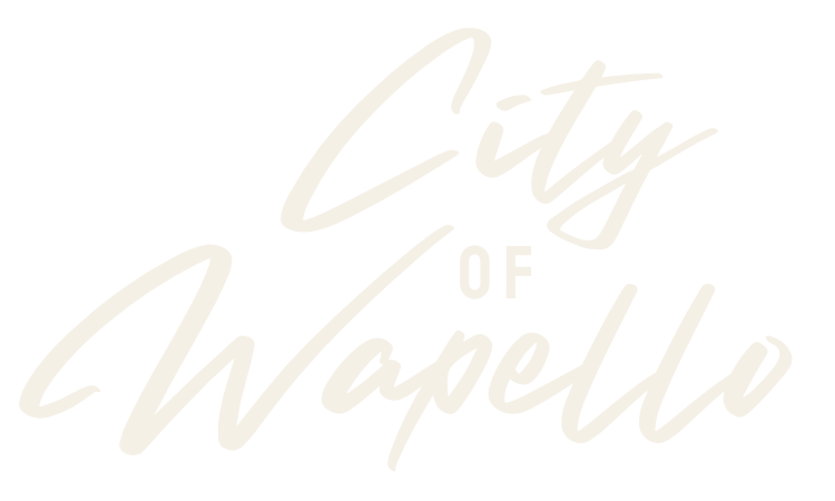 City of Wapello