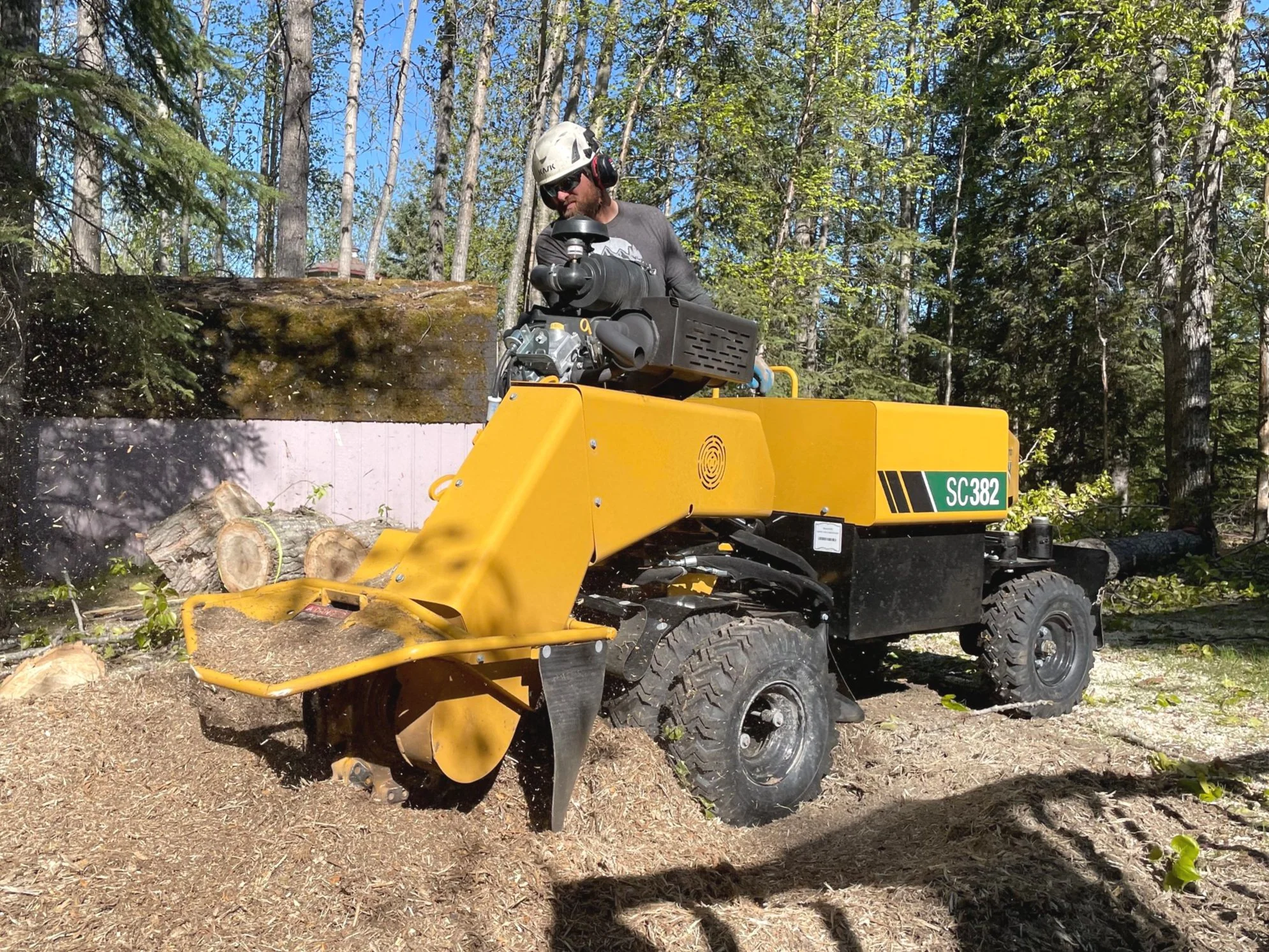 Boreal Tree Care gallery 7