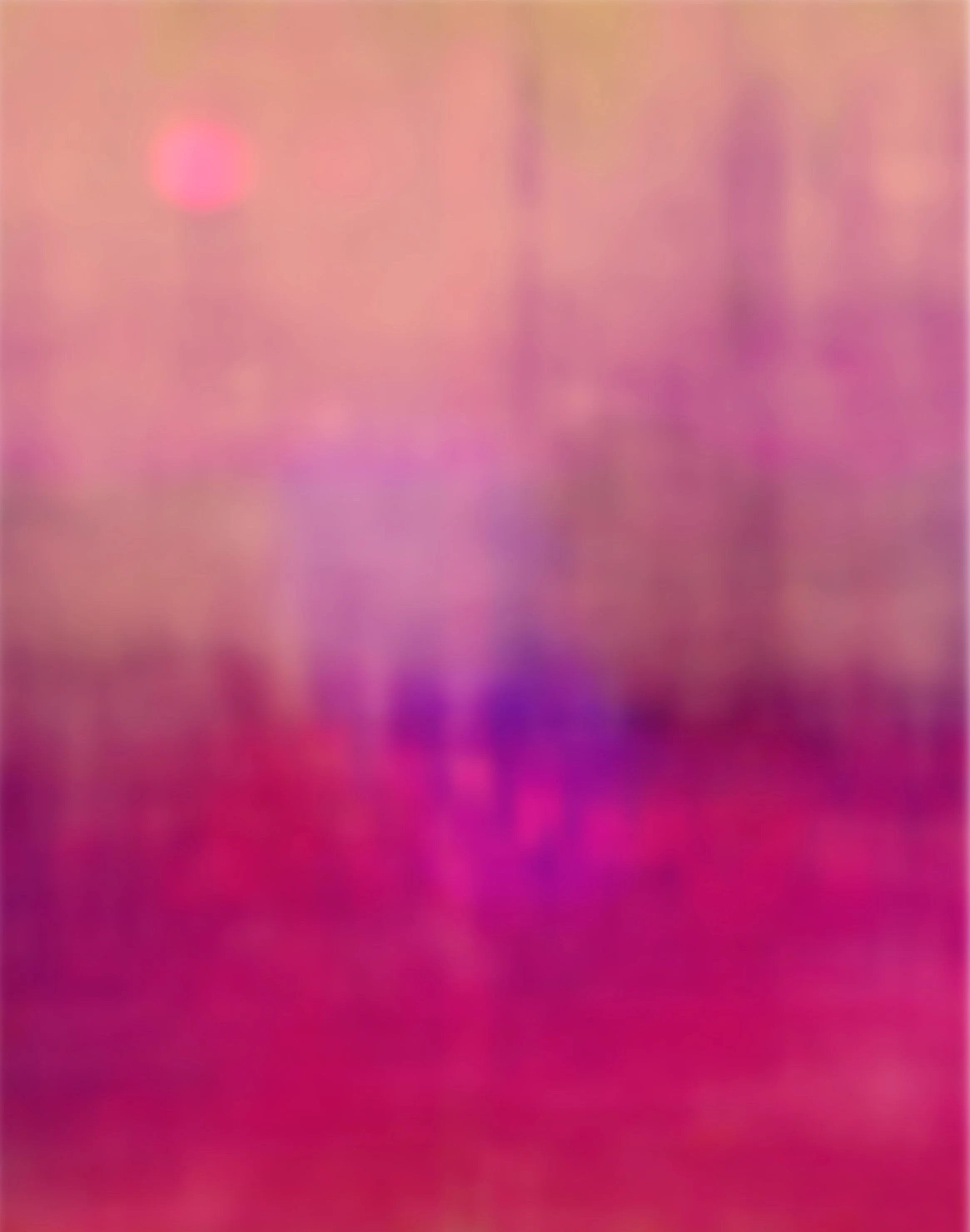 Soundscape: Soundscape: Birdsong, Ocean and Voice on the Wind, 198 x 152cm, Pigment Print.