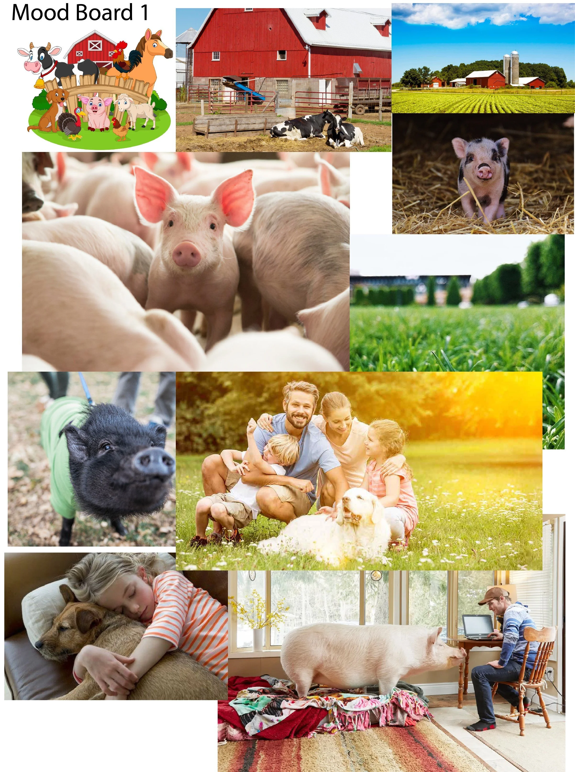 Pig Placement Network Project — Josh Wicker Art
