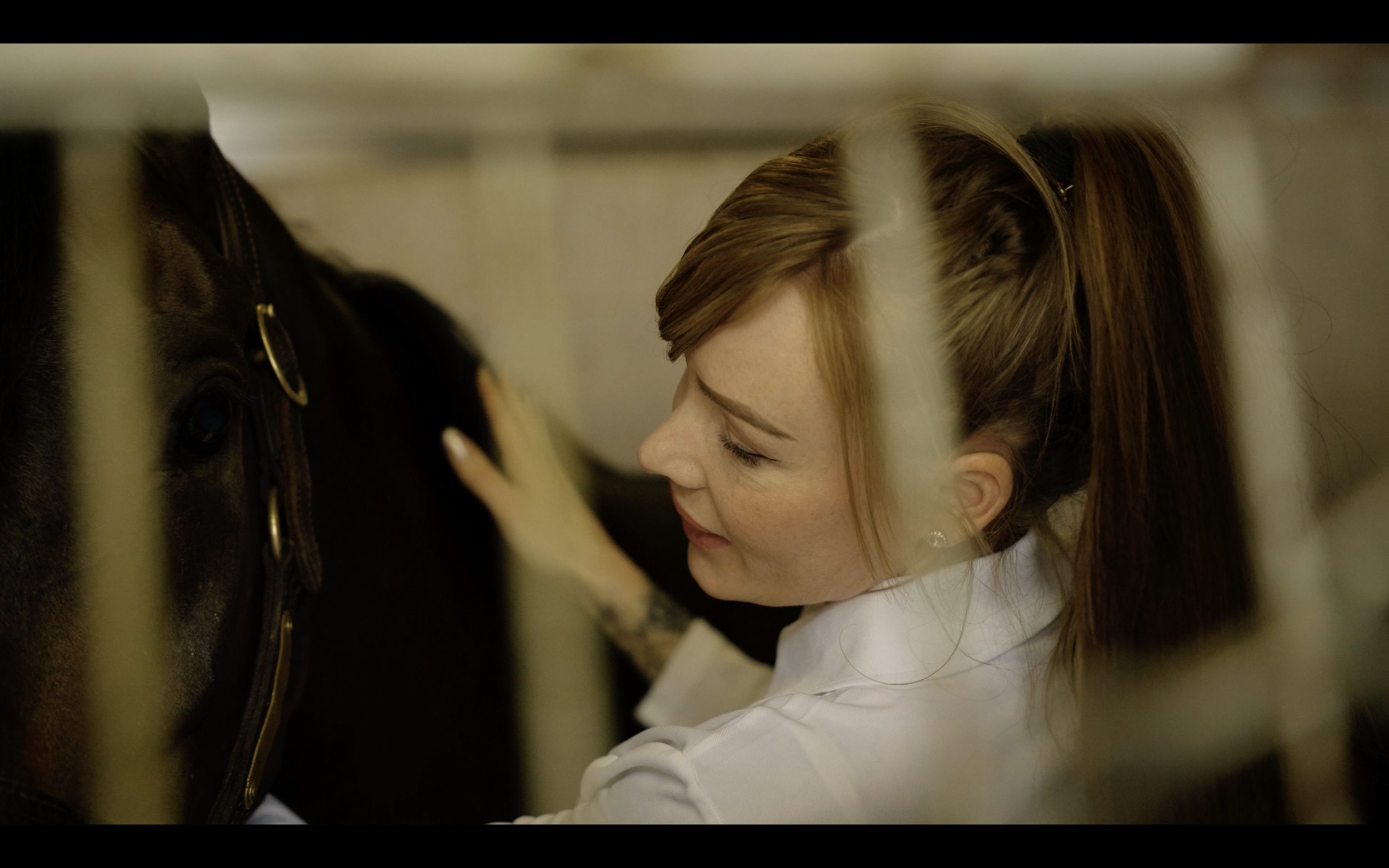 Southern Belle Thoroughbreds