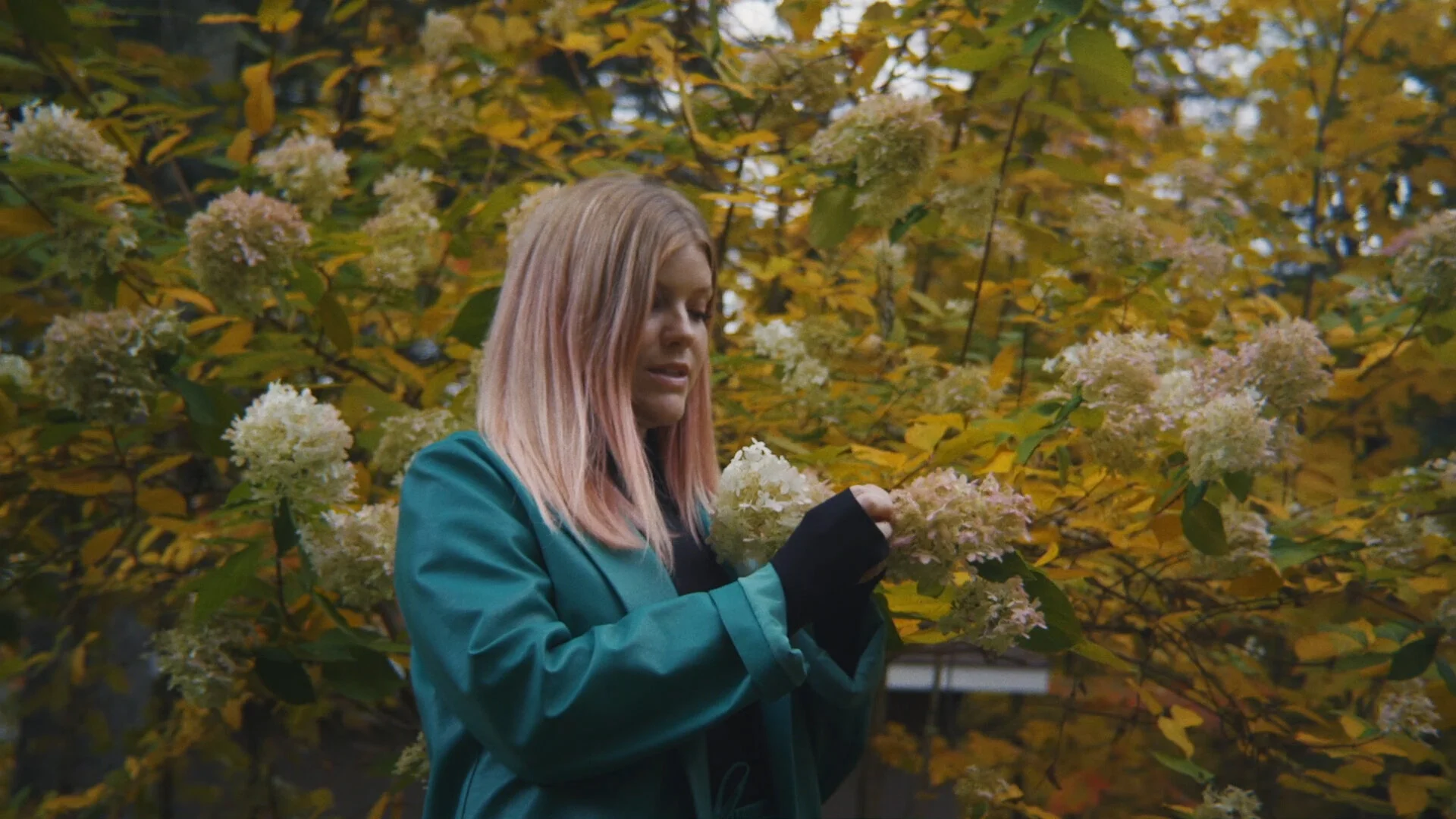 WILLA - "No Control"