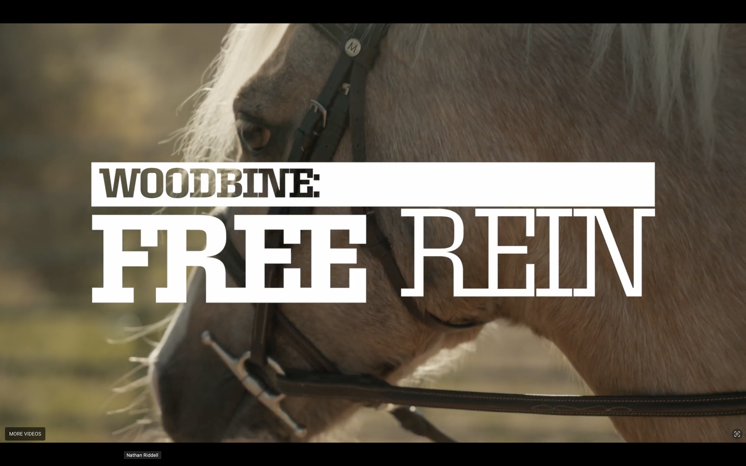 WOODBINE: FREE REIN  Season 1