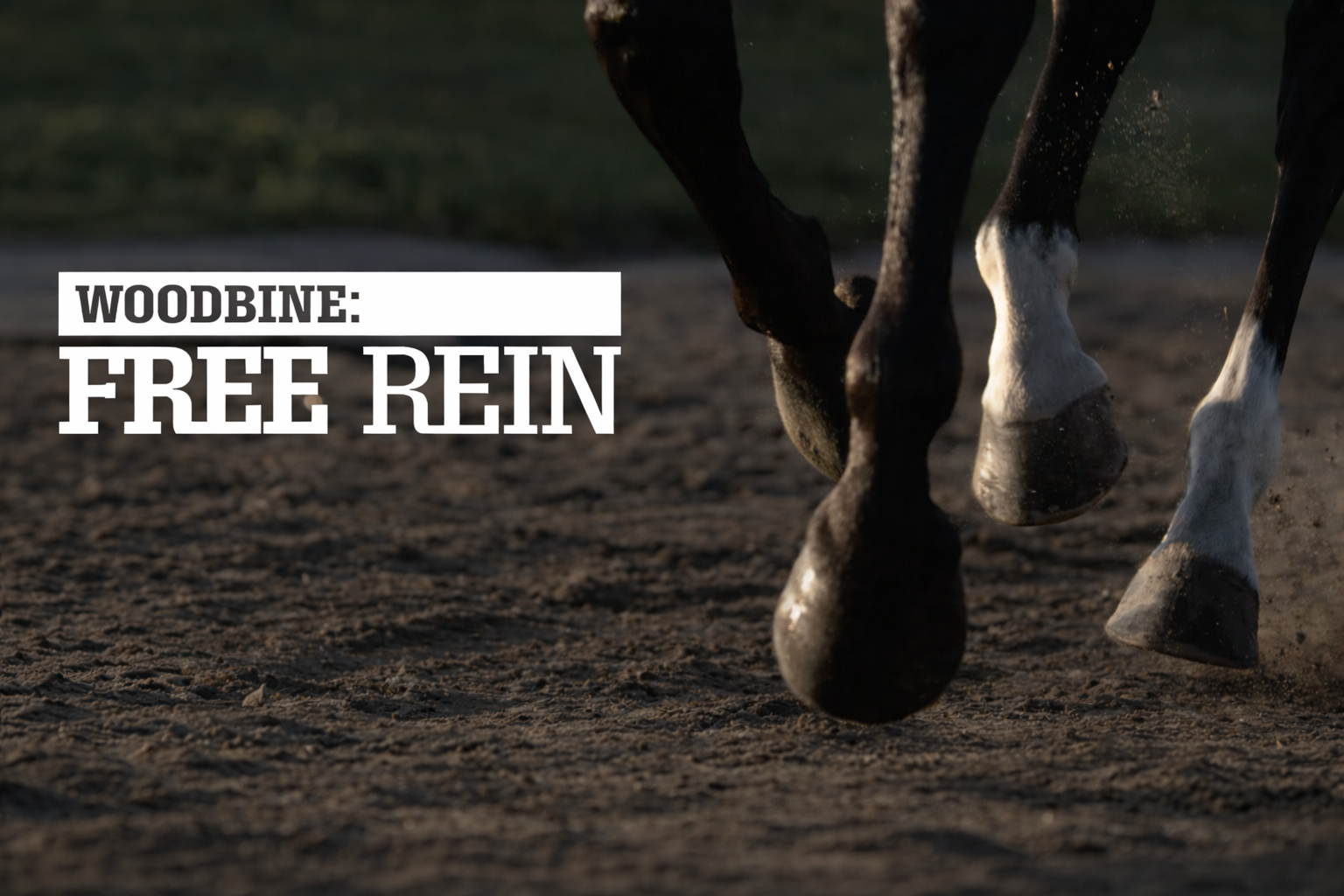WOODBINE: FREE REIN  Season 3