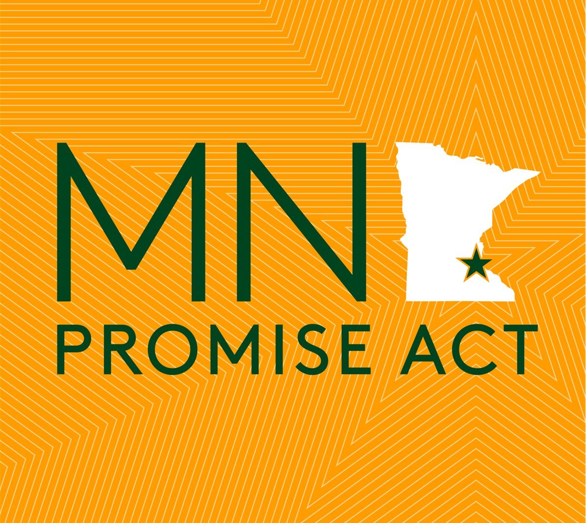 MN Promise Act Info Session