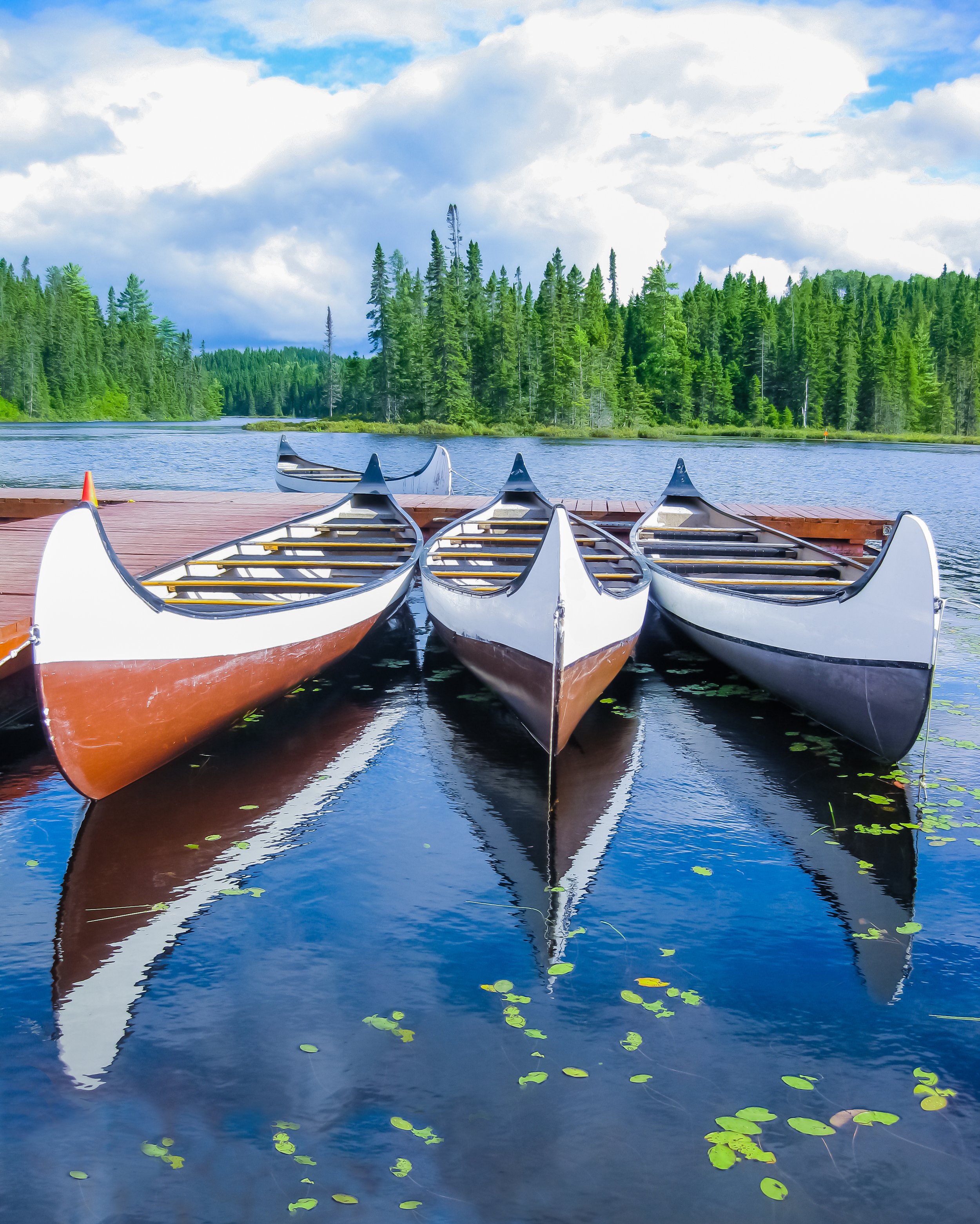 AdobeStock_67348912.jpeg