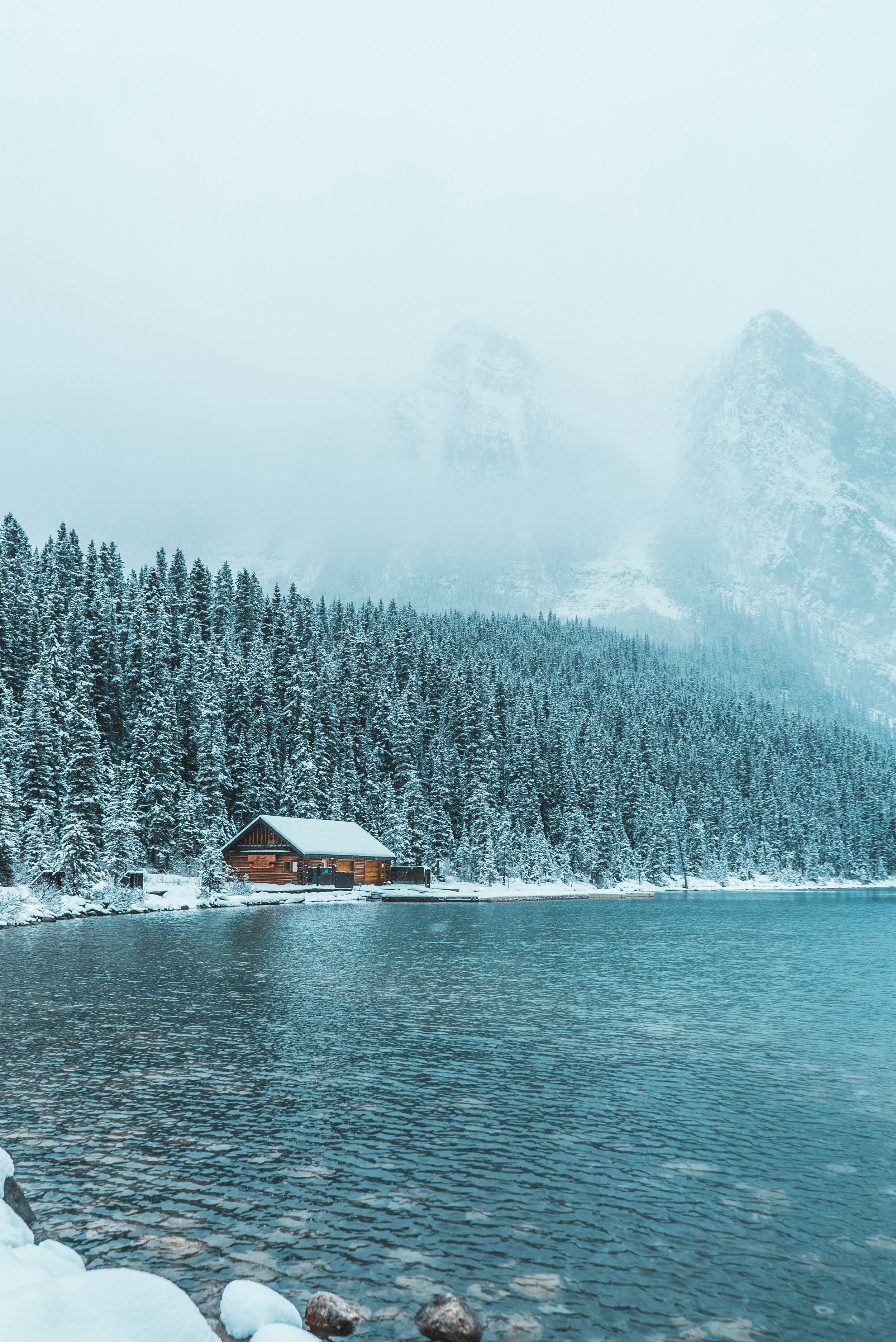 redd-francisco-DeChBE0mpbk-unsplash.jpg