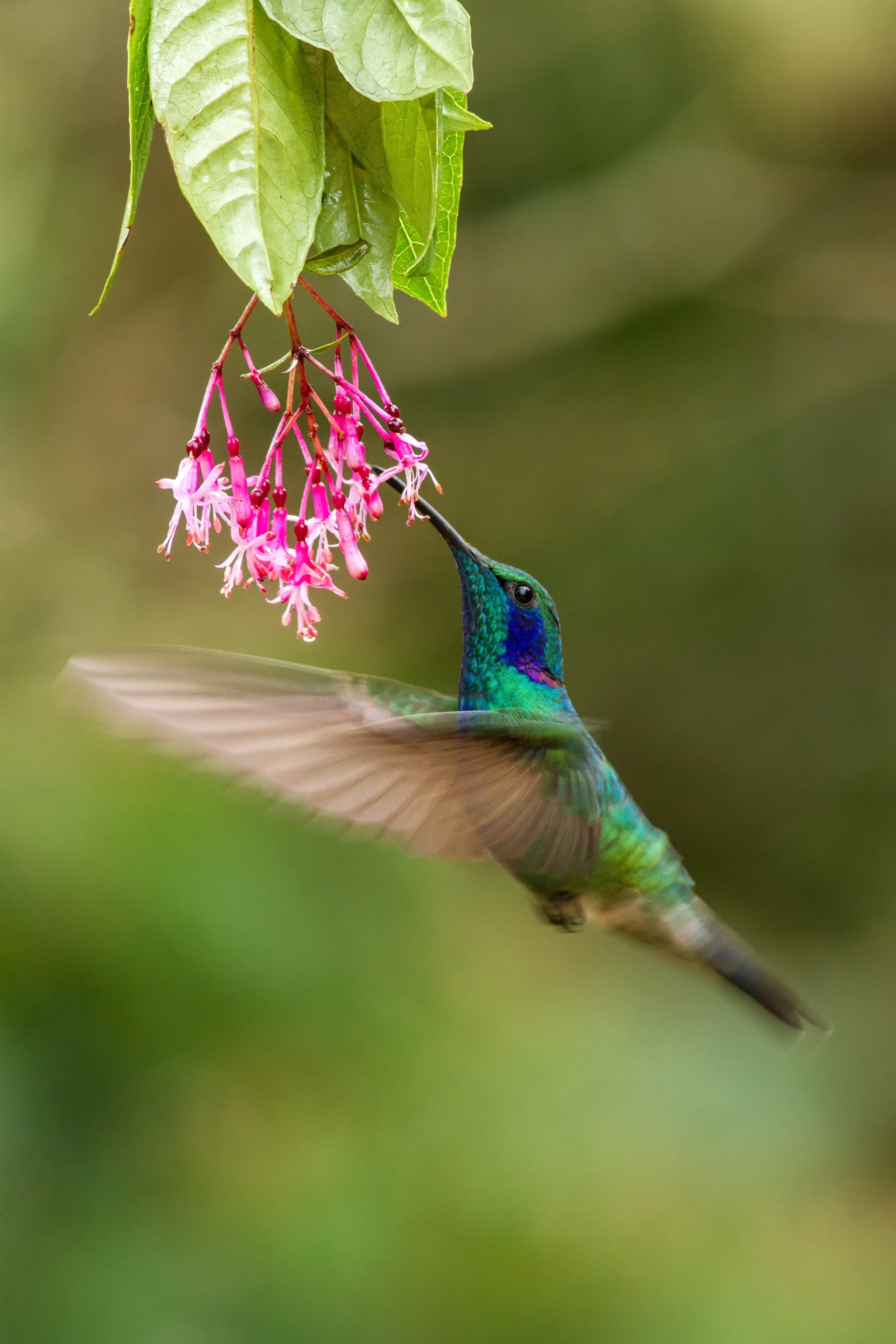 AdobeStock_221321724.jpeg