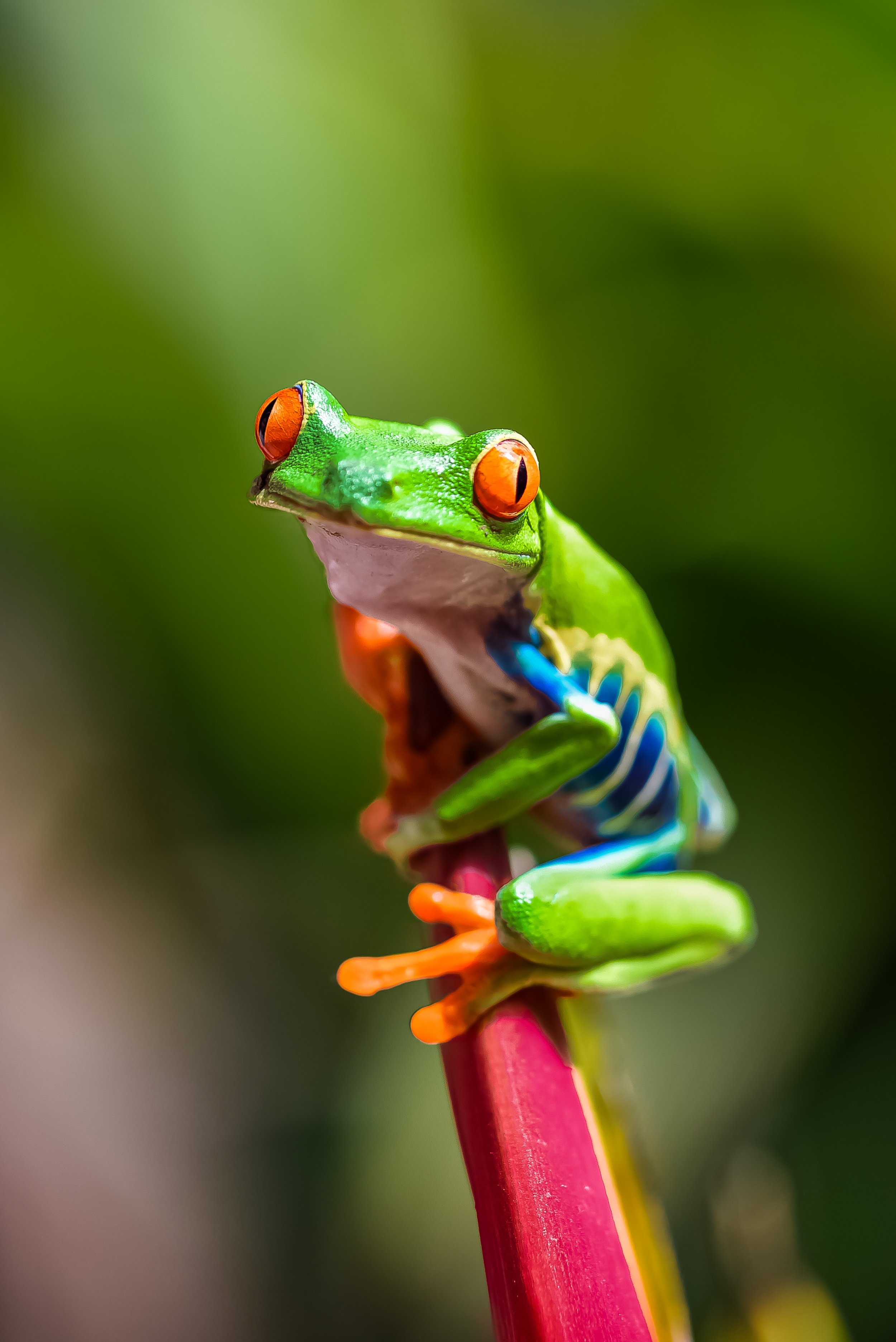 AdobeStock_251910620.jpeg