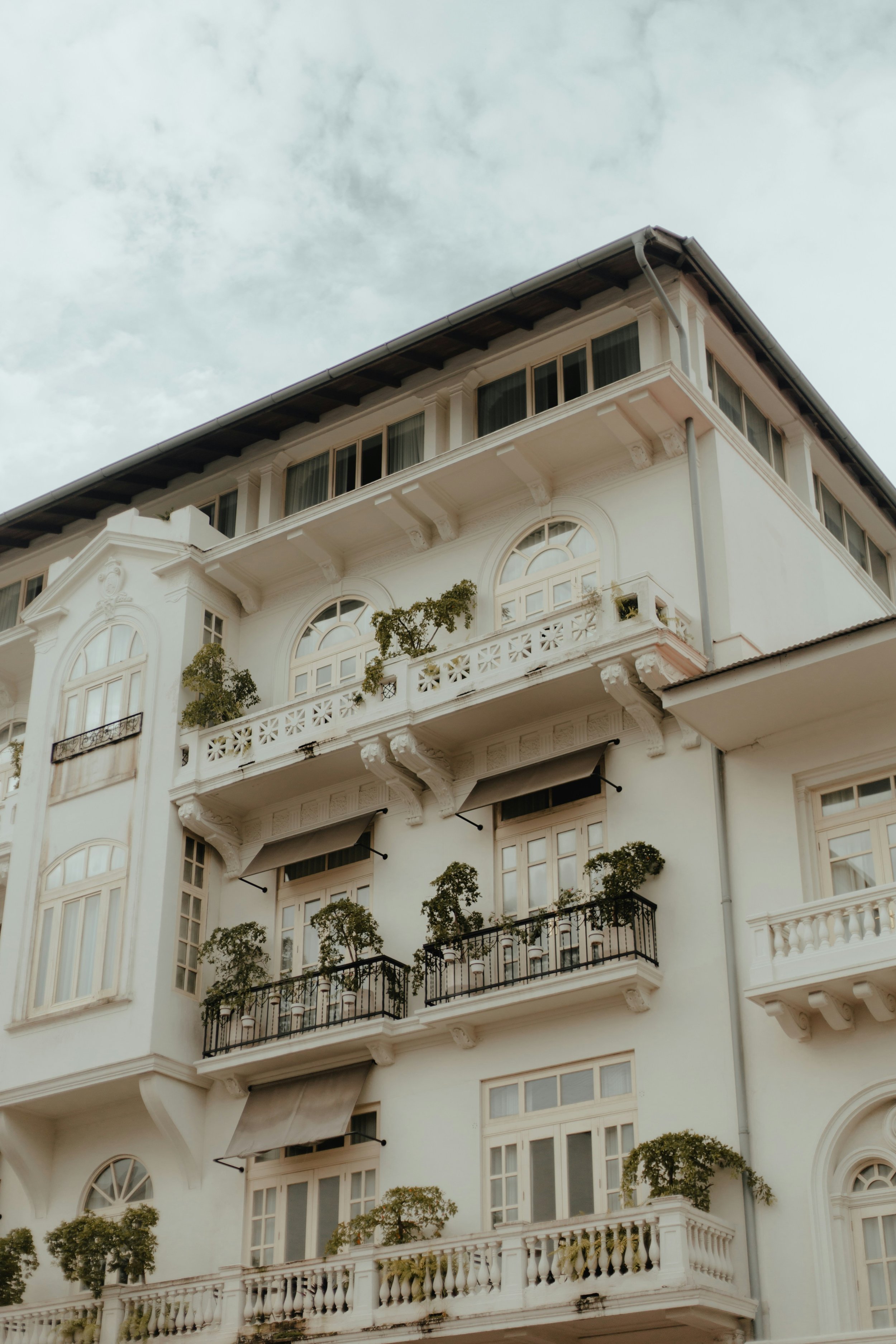 jass-akajassd-hernandez-wYrlKc841t8-unsplash.jpg
