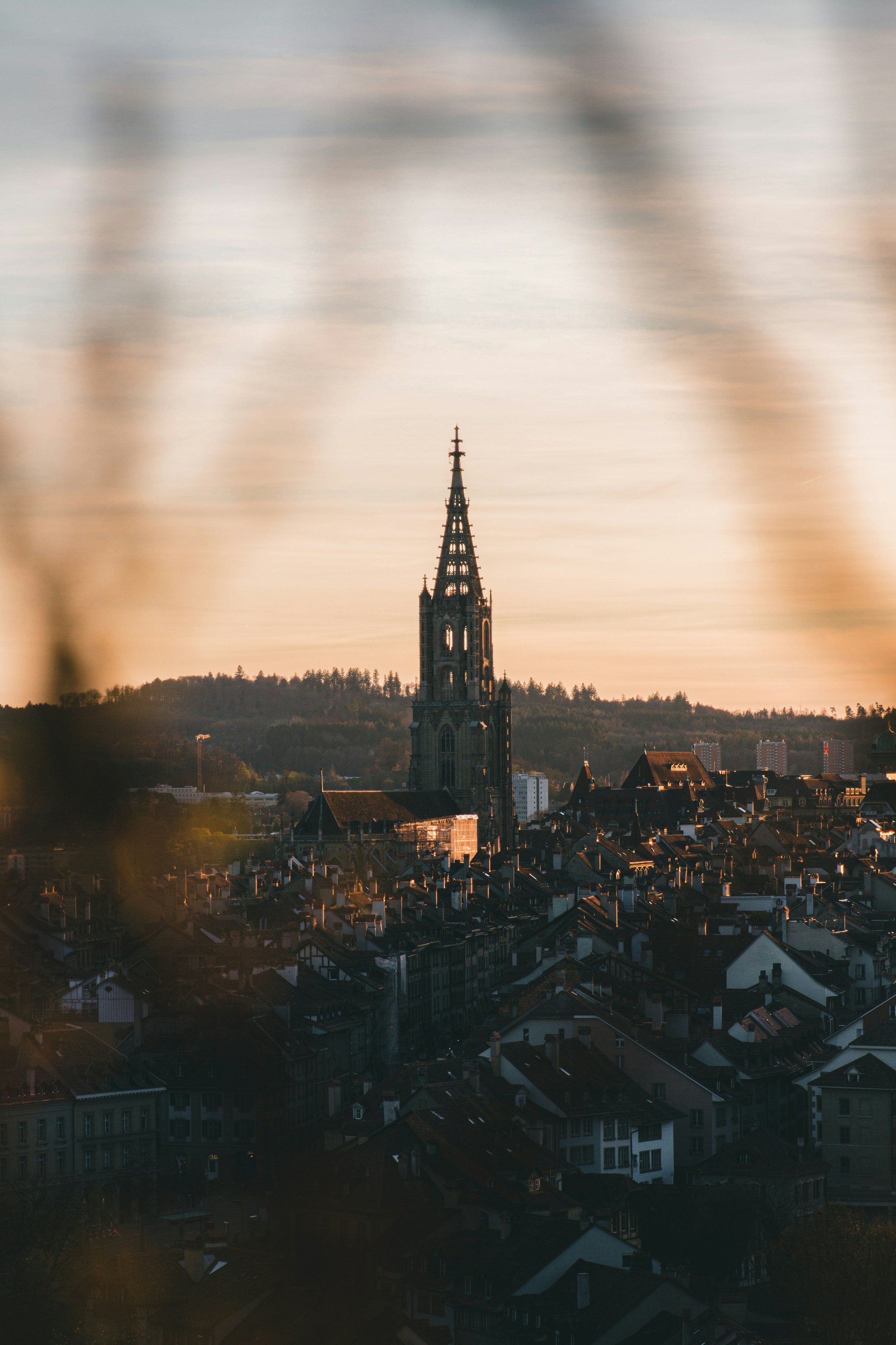 domenico-gentile-S2WhtDbkalk-unsplash.jpg