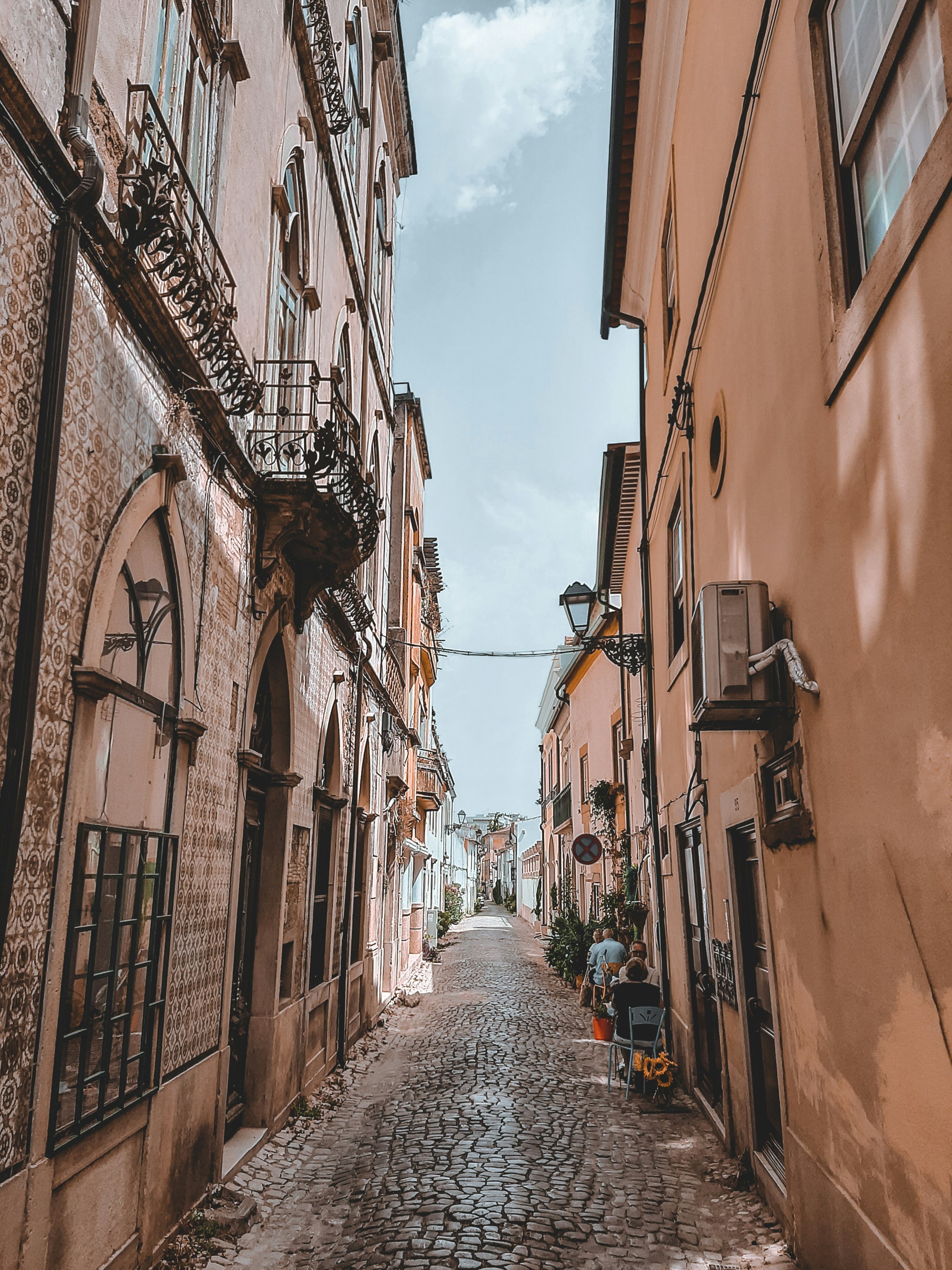 sofia-vila-flor-iqNj9MGAsps-unsplash.jpg