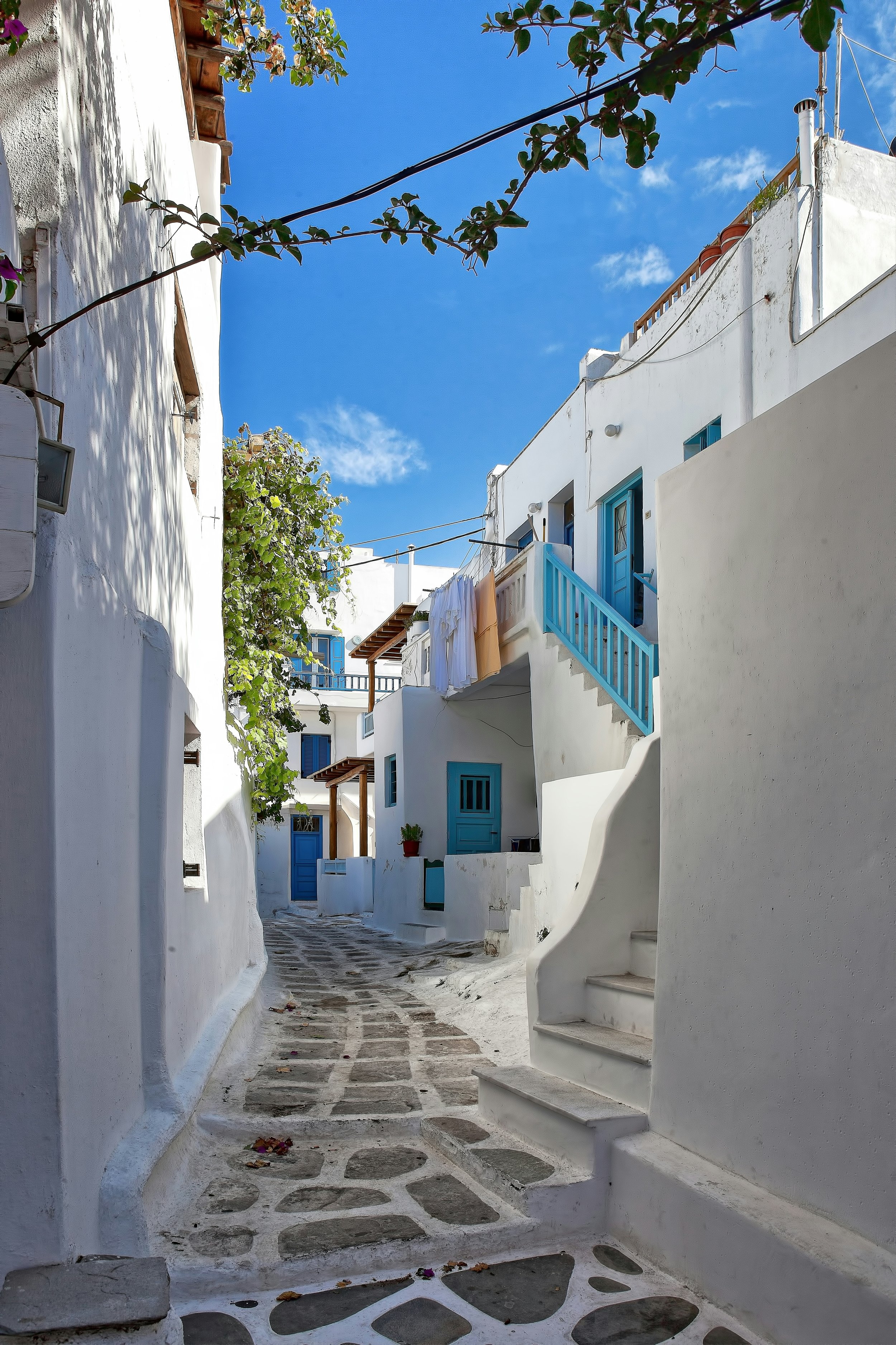 ricardo-gomez-angel-uBKVUU_KLGg-unsplash.jpg