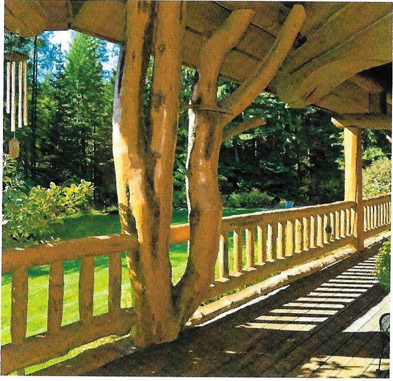 wittegenstein 20001.jpg