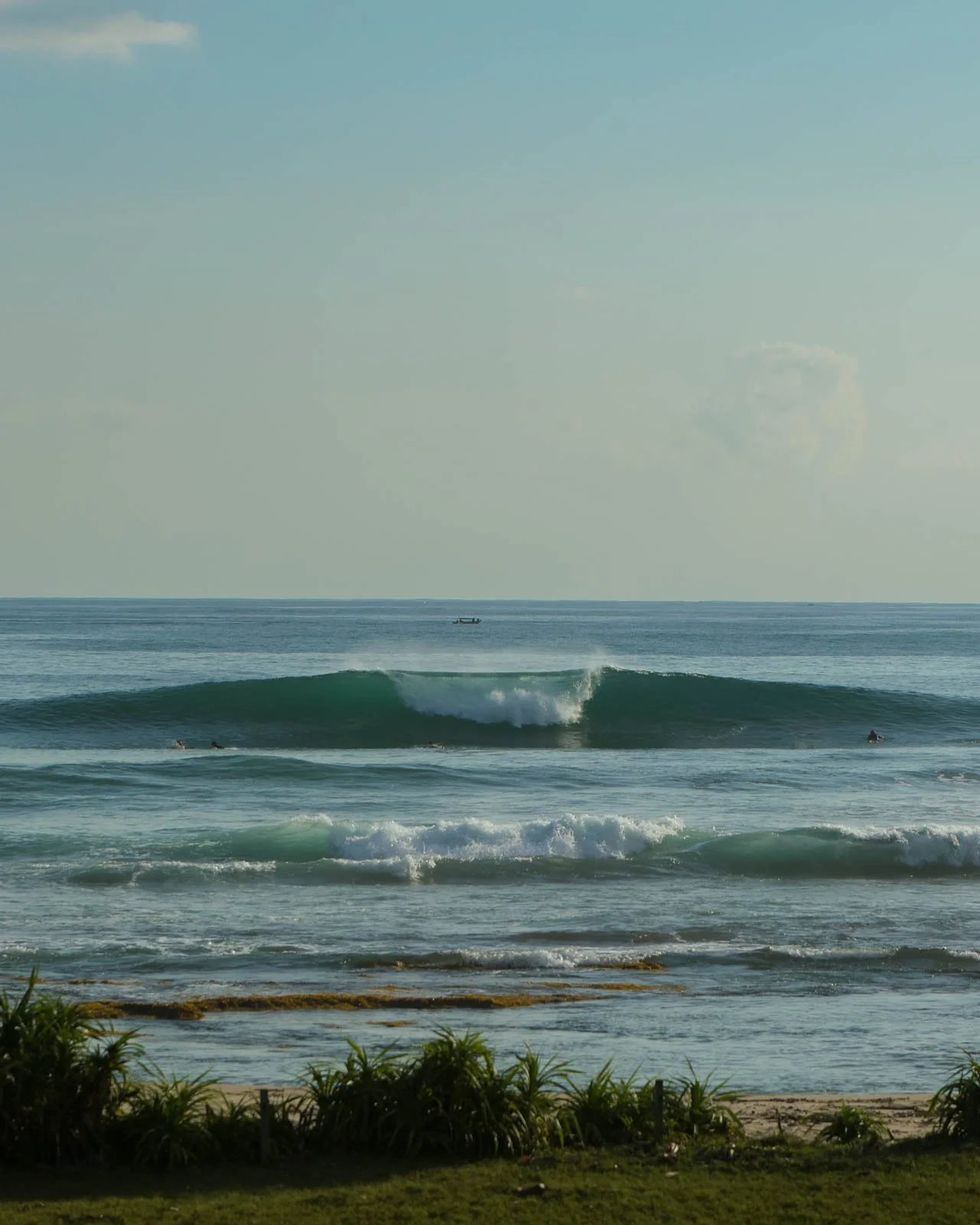 Mahi-028.jpg