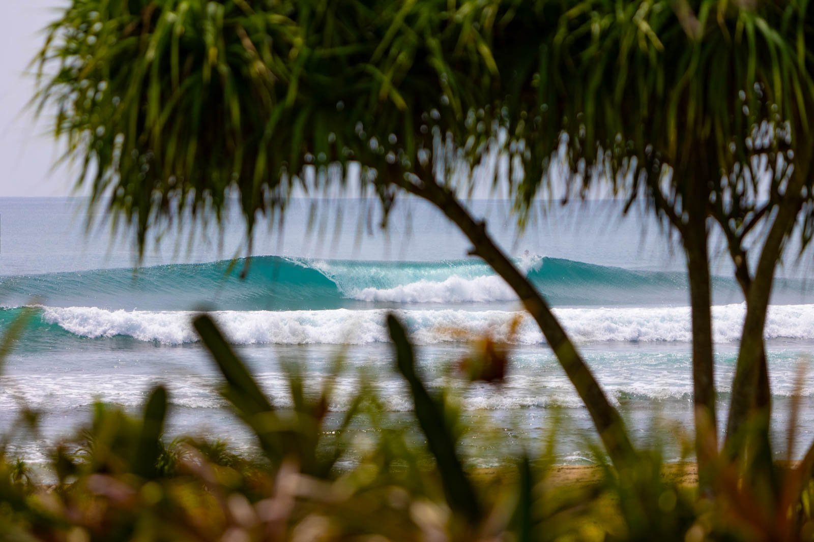 Mahi-007.jpg