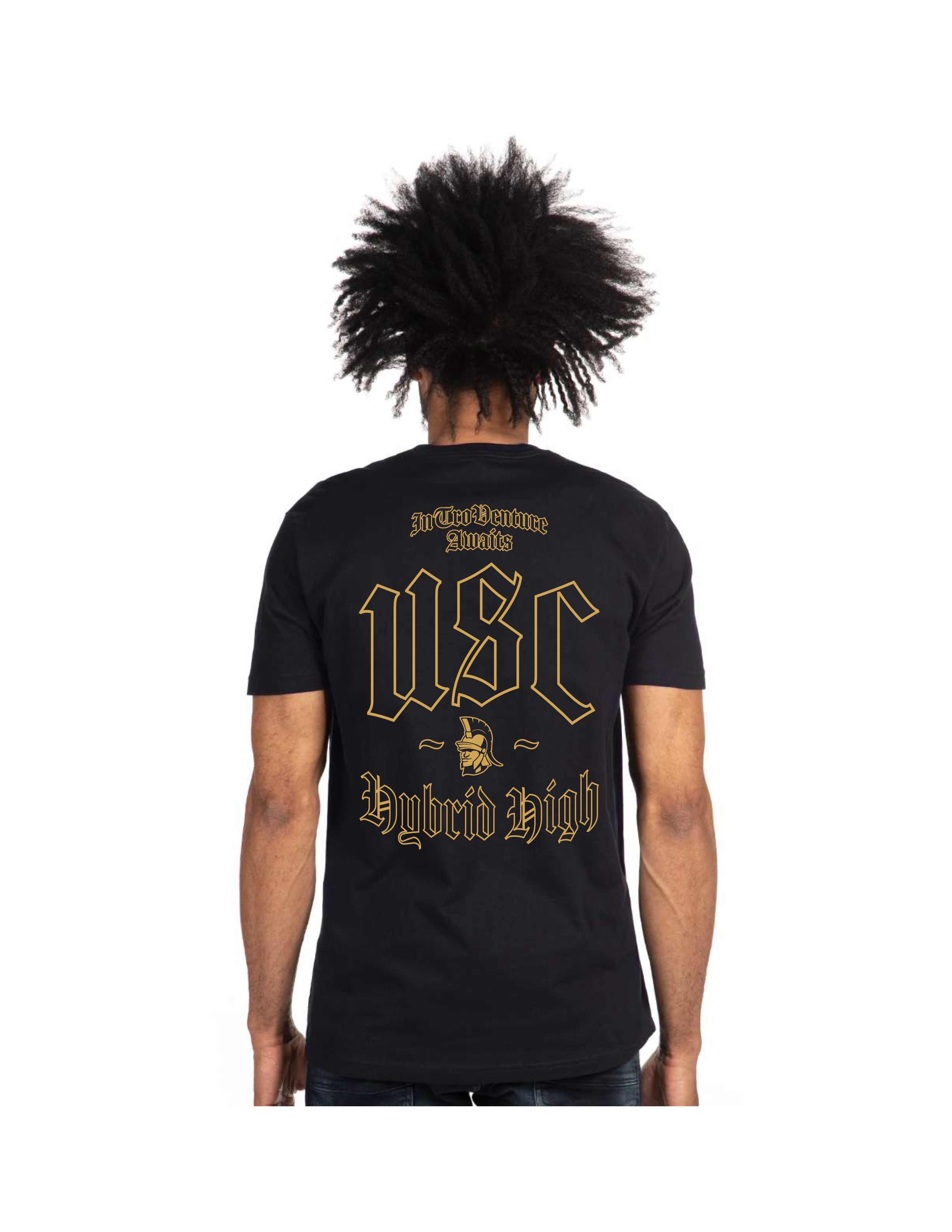 IntroVenture Hybrid Old English BACK.png
