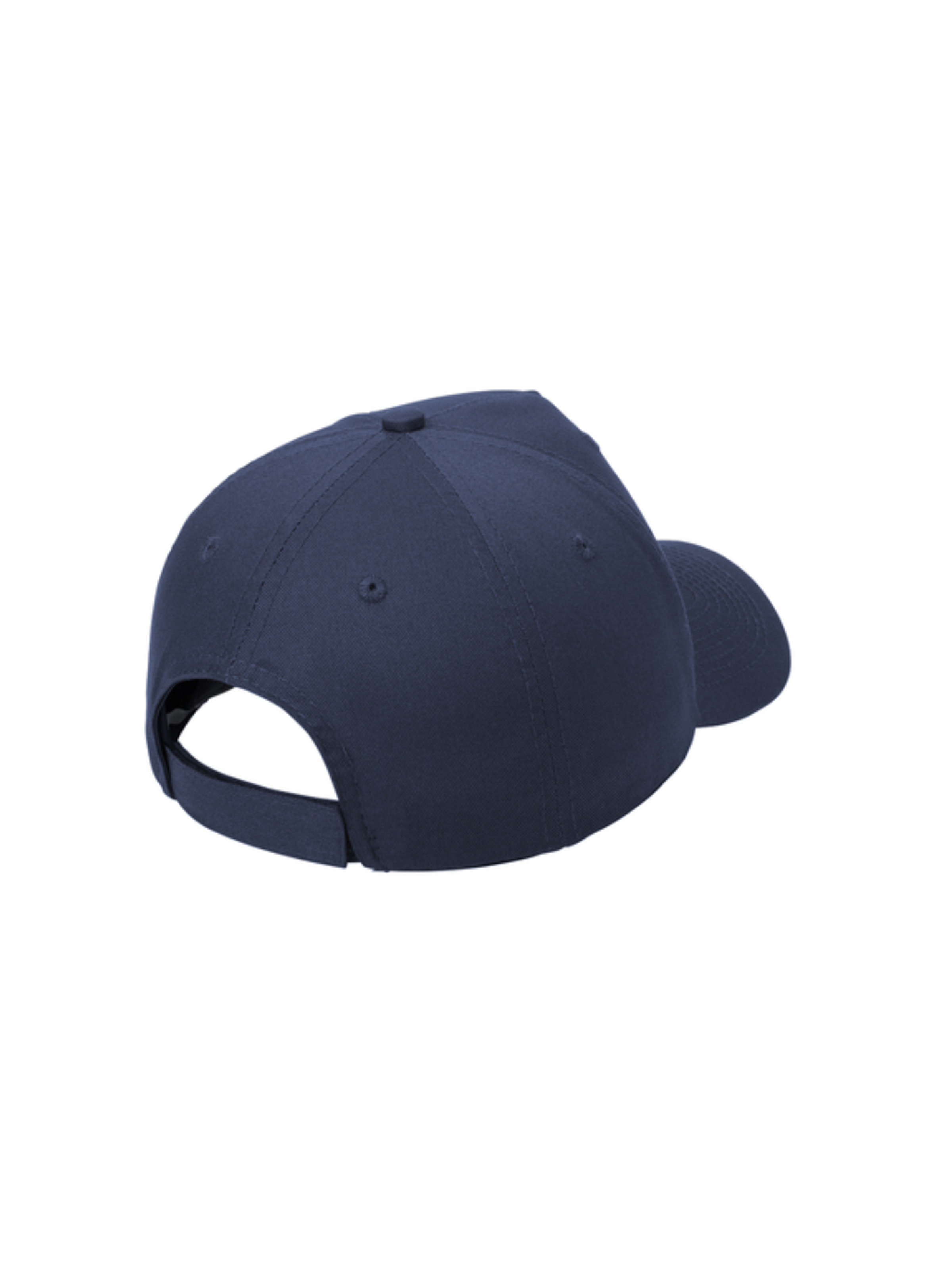ECHS Cap back.png