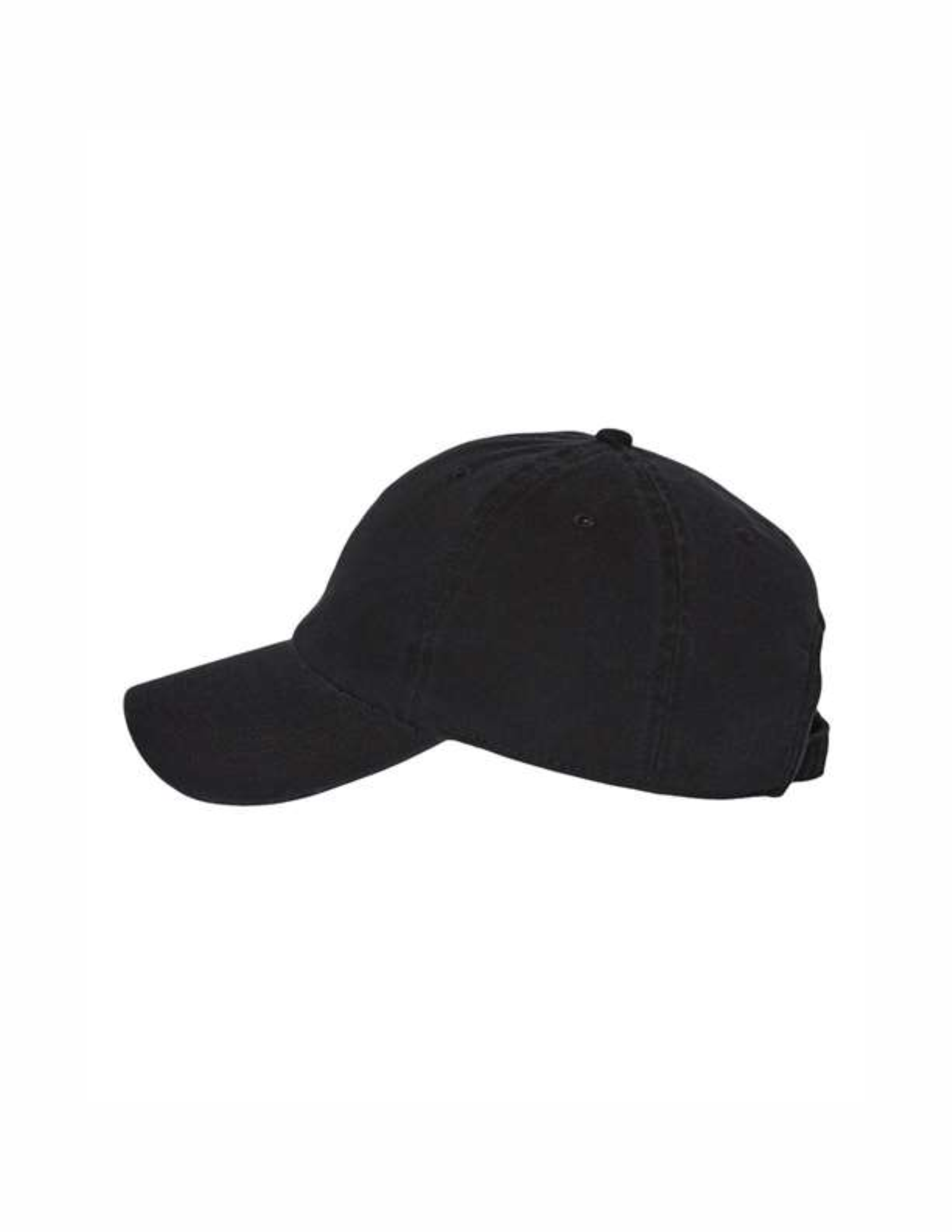 introventure_2025_cap_side.png