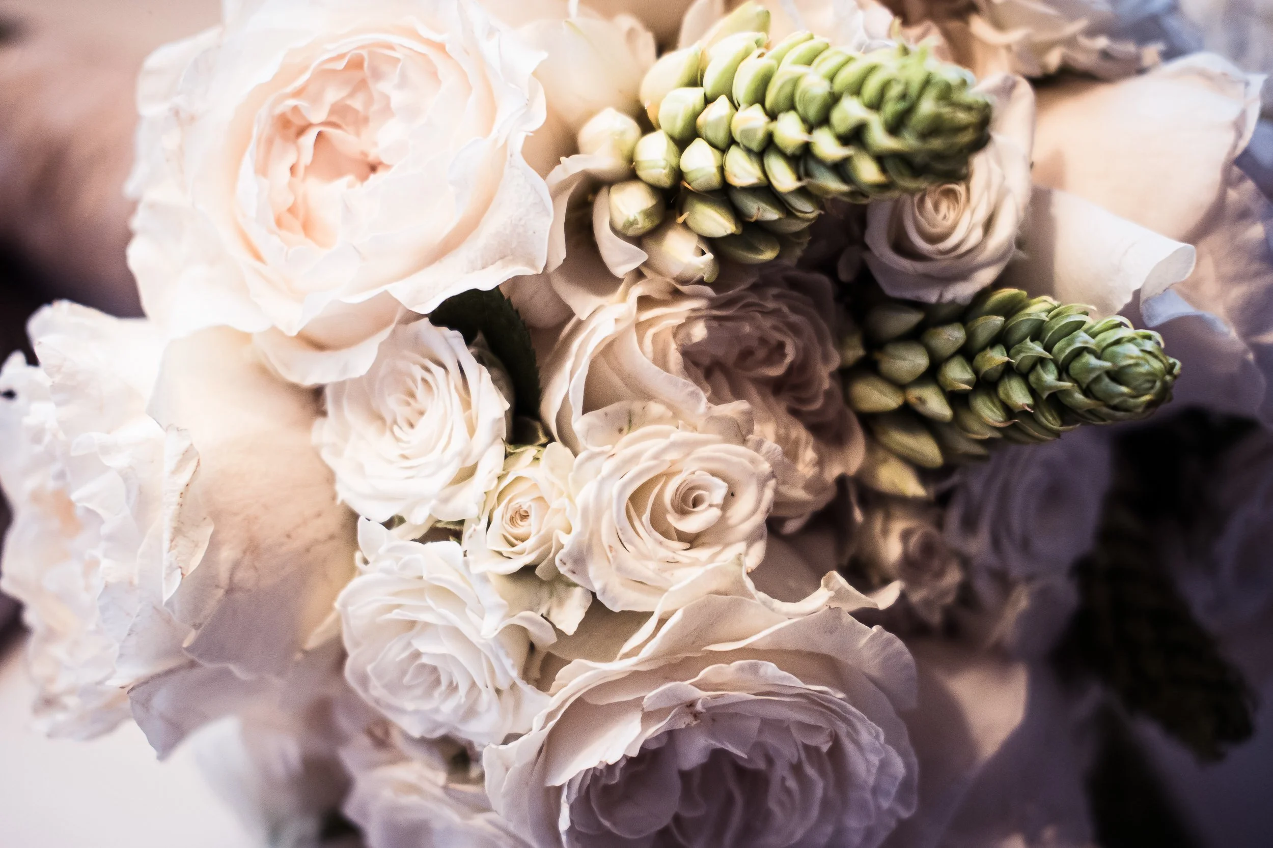 Joe_Aretha_Wedding-18.jpg