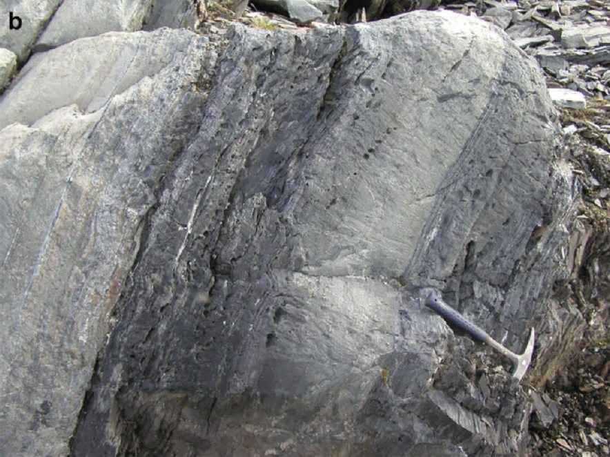 50: The Oldest Evidence for Life?