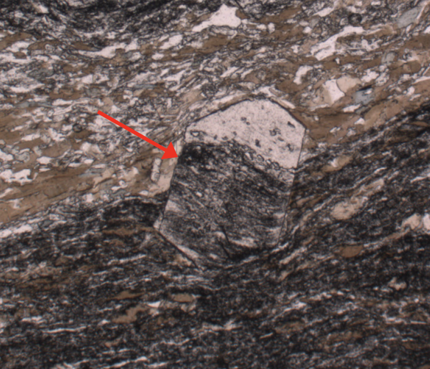 51: The Latest News on the Oldest Life