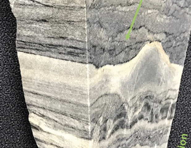 53: The Great Fossil Debate