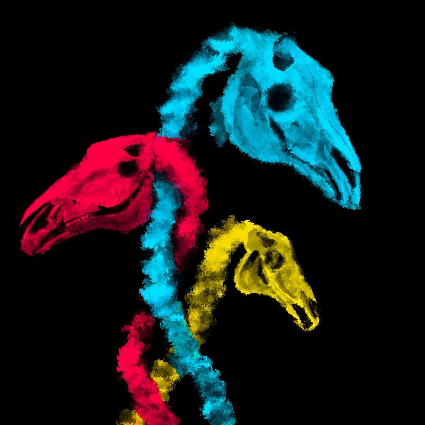 3 horses &hellip;

#Sketchbook #artist #art #doodling #artistsoninstagram #procreate #digitalart #art #ipadpro #art #artoninstagram #illustration #timelapse #artist #artistoninstagram #digitalartoninstagram #horses #horseskeleton #horseskull #horsear