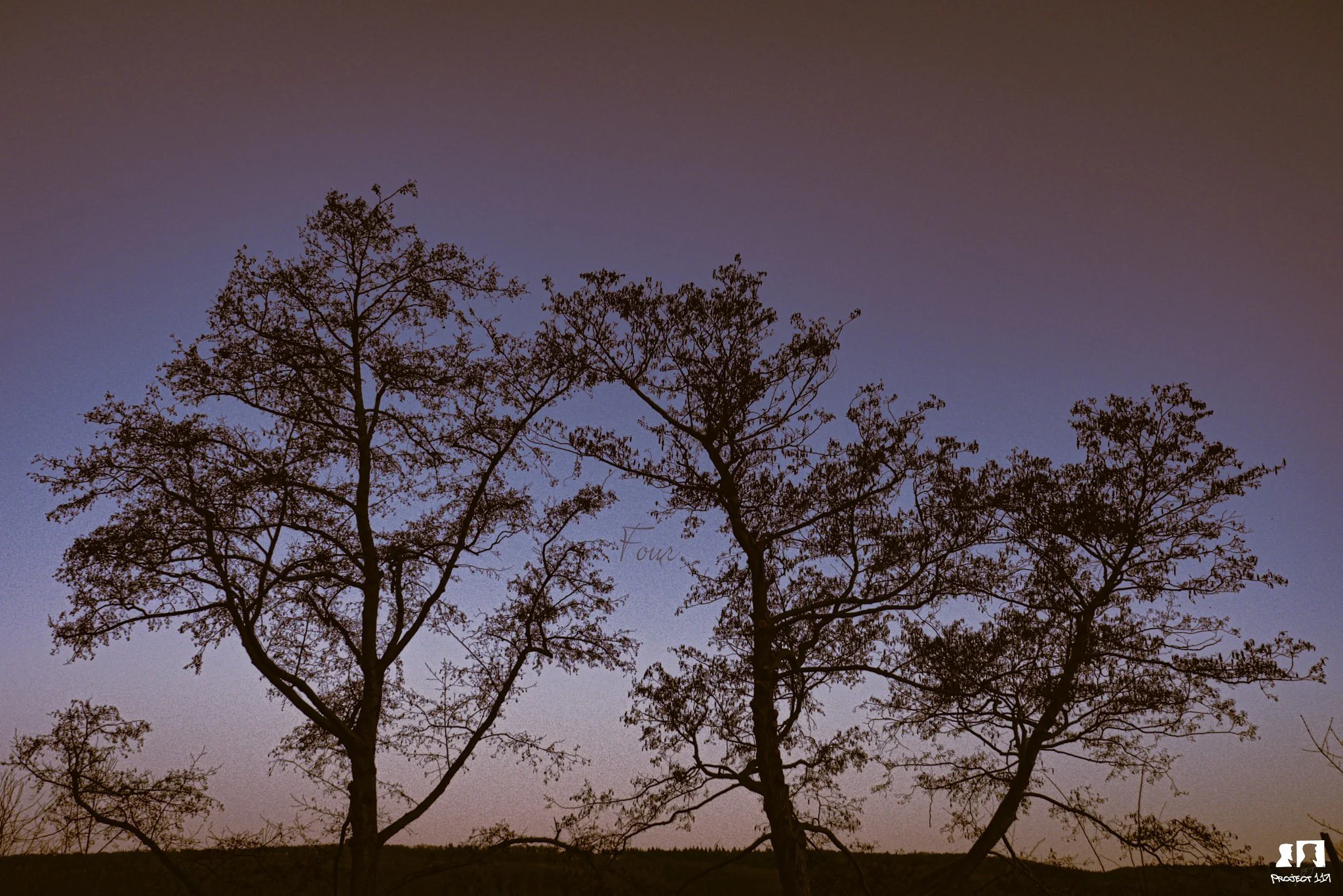 20230227 four today.jpg