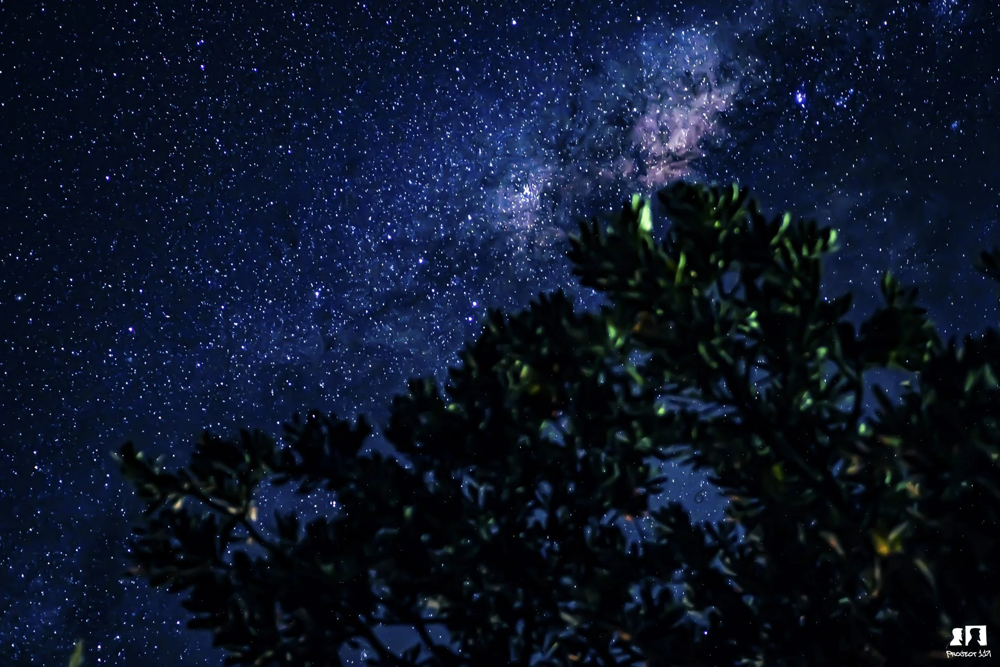 20230208 Statistic.jpg