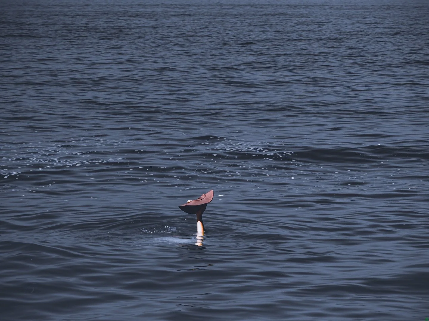 Resilience diary- pain today: 5/10. Photo: "Ś&uacute;řřǒ&ucirc;ńḏēḏ" 

I found water to be the most freeing and liberating for my body. To take the weight off my oversized feet always feels amazing. The relief starts in those pressed toes a