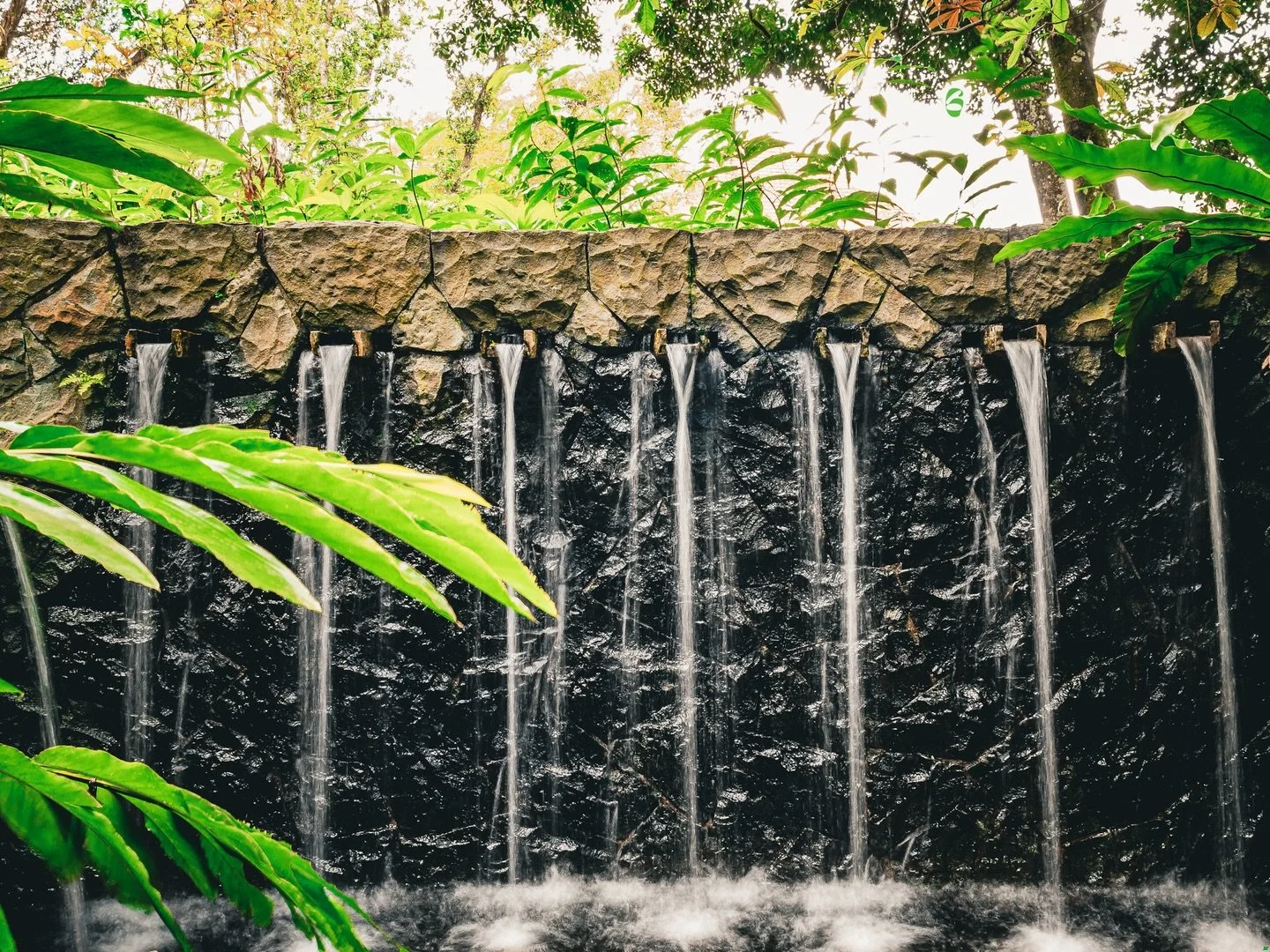 Resilience diary- pain today: 6/10. Photo: "Vō&ccedil;&aring;b" 

I had two foreign language classes to begin with at the Steiner schools. Both in hindsight quite difficult, German and Japanese. Learning a language from scratch in Australia