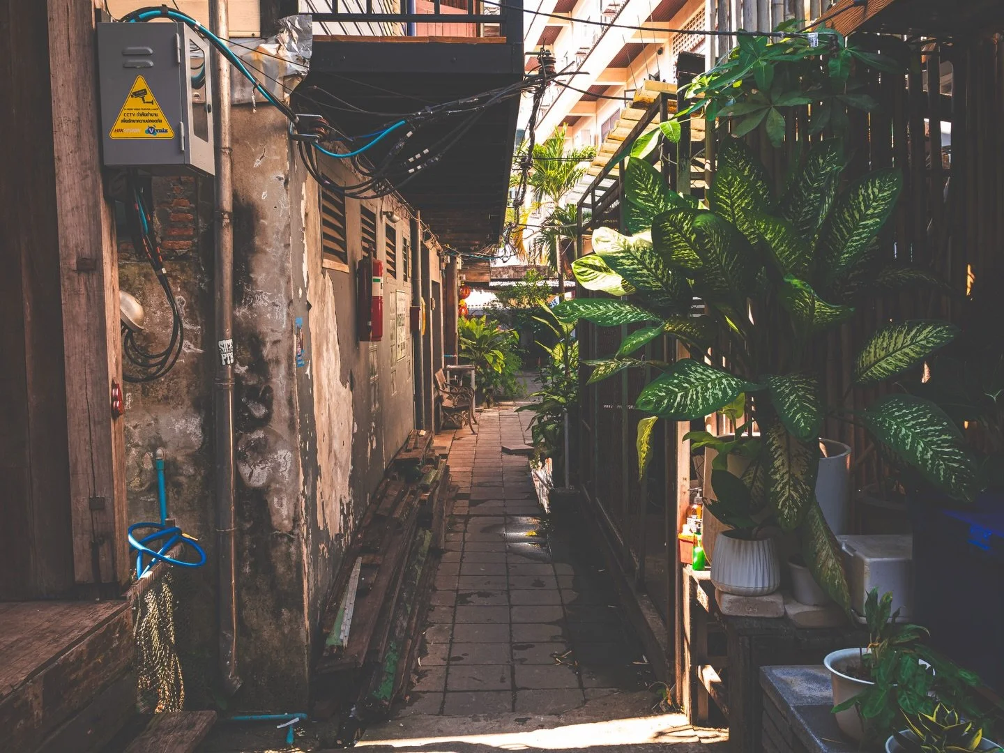 Resilience diary - pain today: 6/10. Photo: "İŋțę&ntilde;ț&iuml;ōń" 

I have never had any natural ability or even awareness sometimes, of being tidy or organised. Mum would regularly call me lazy which looking back i totally get as i haven