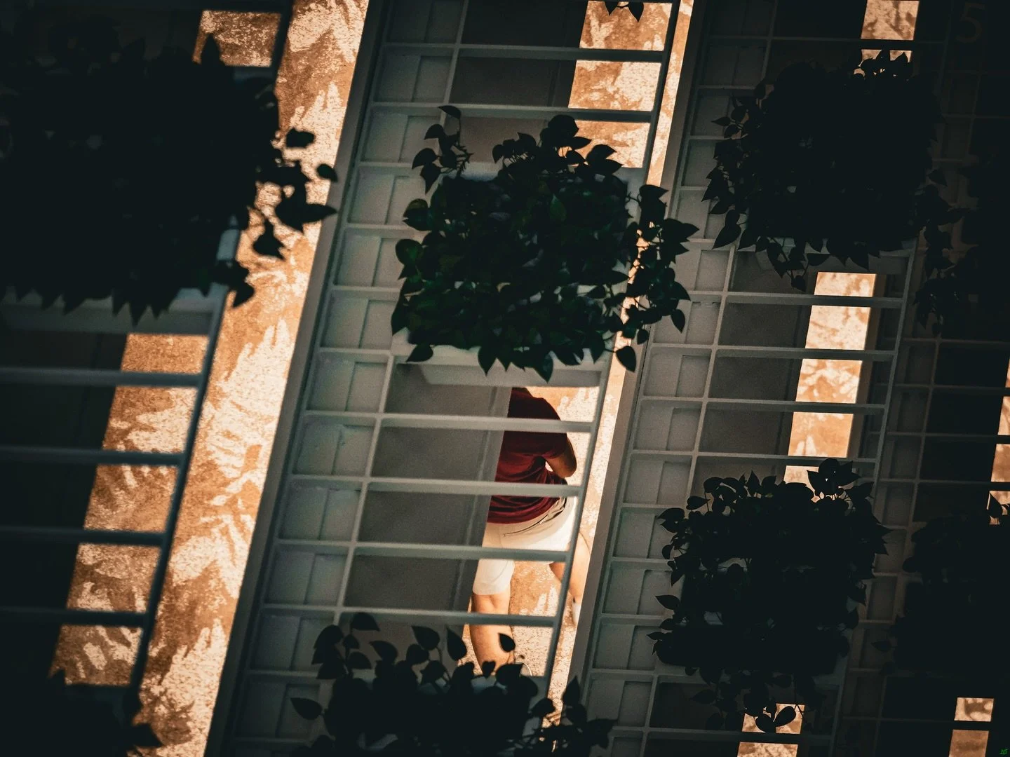 Resilience diary- pain today: 5/10. Photo: "Čō&ntilde;ṯǐŋ&ucirc;&otilde;ǔş" 

Today is the beginning of the fourth year of this diary. For someone who tends to start and stop things on a regular basis in quite proud I've kept this up for th