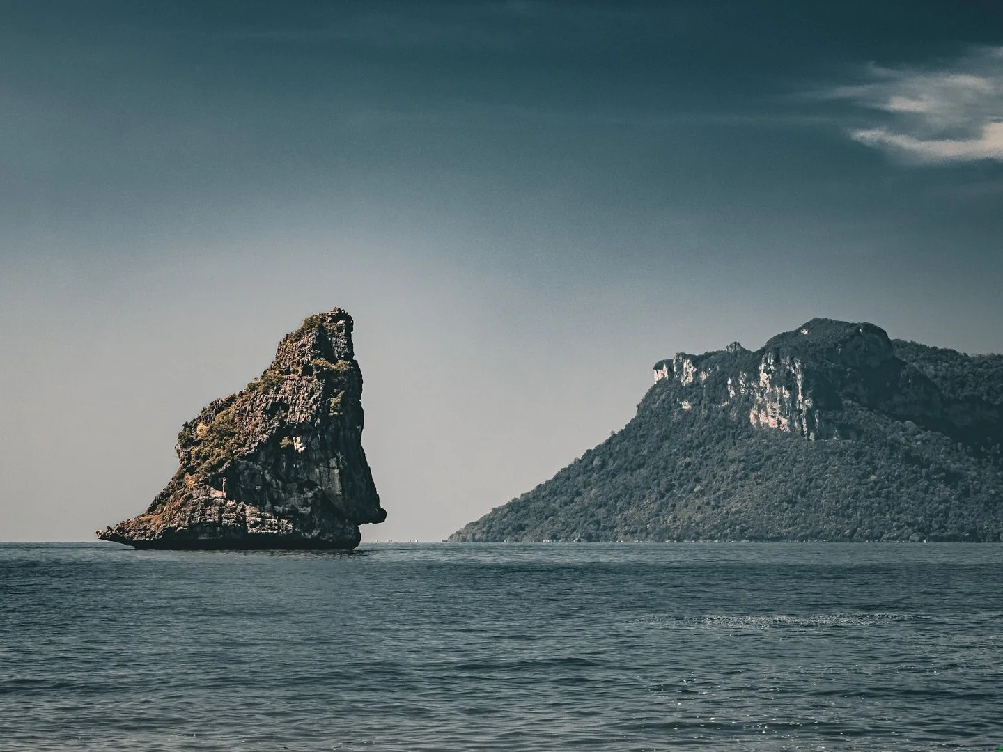 Resilience diary- pain today: 5/10. Photo: "Fł&aring;ṯ" 

One of my first hikes was in the blue mountains and the blue gum forest. The blue mountains are unique in their formation whereby most infrastructure is on the top as the valleys are