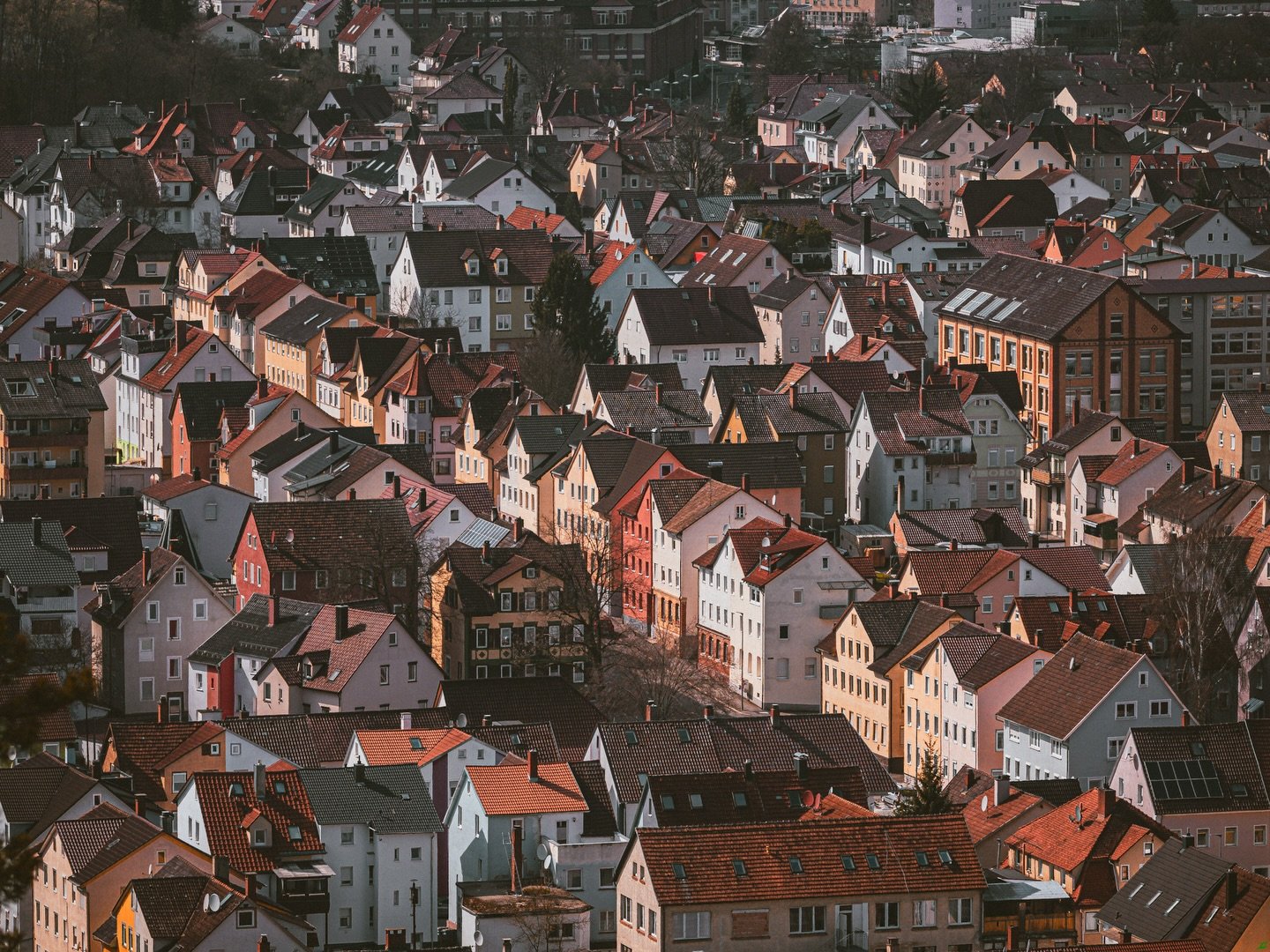 Resilience diary- pain today: 5/10. Photo: "Ħőm&ocirc;ğẽņŷ" 

I felt a strong paradox in certain parts of my life as i reached my teenage years. I seemed to be guided by the laws and culture i lived in that we all are the same and so should