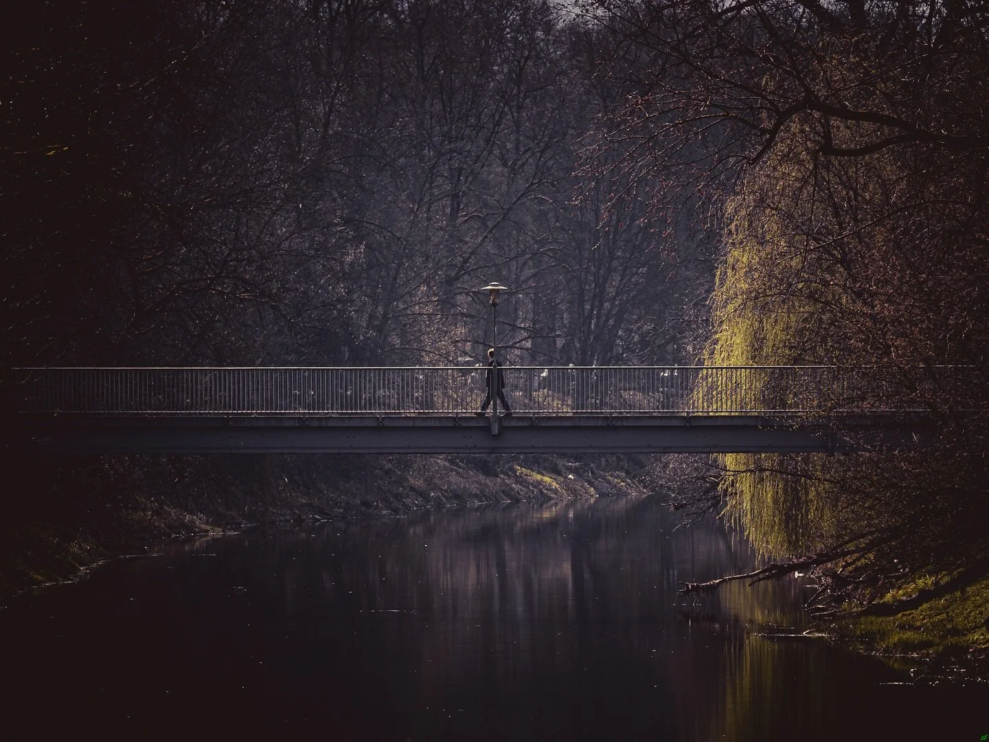 Resilience diary- pain today: 5/10. Photo: "Ş&euml;&acirc;ṟčħ" 

Looking back i think it was around this age of 12-13 where I was starting to come to grips with what is is to be an "I". My memories before that age are unquestionab