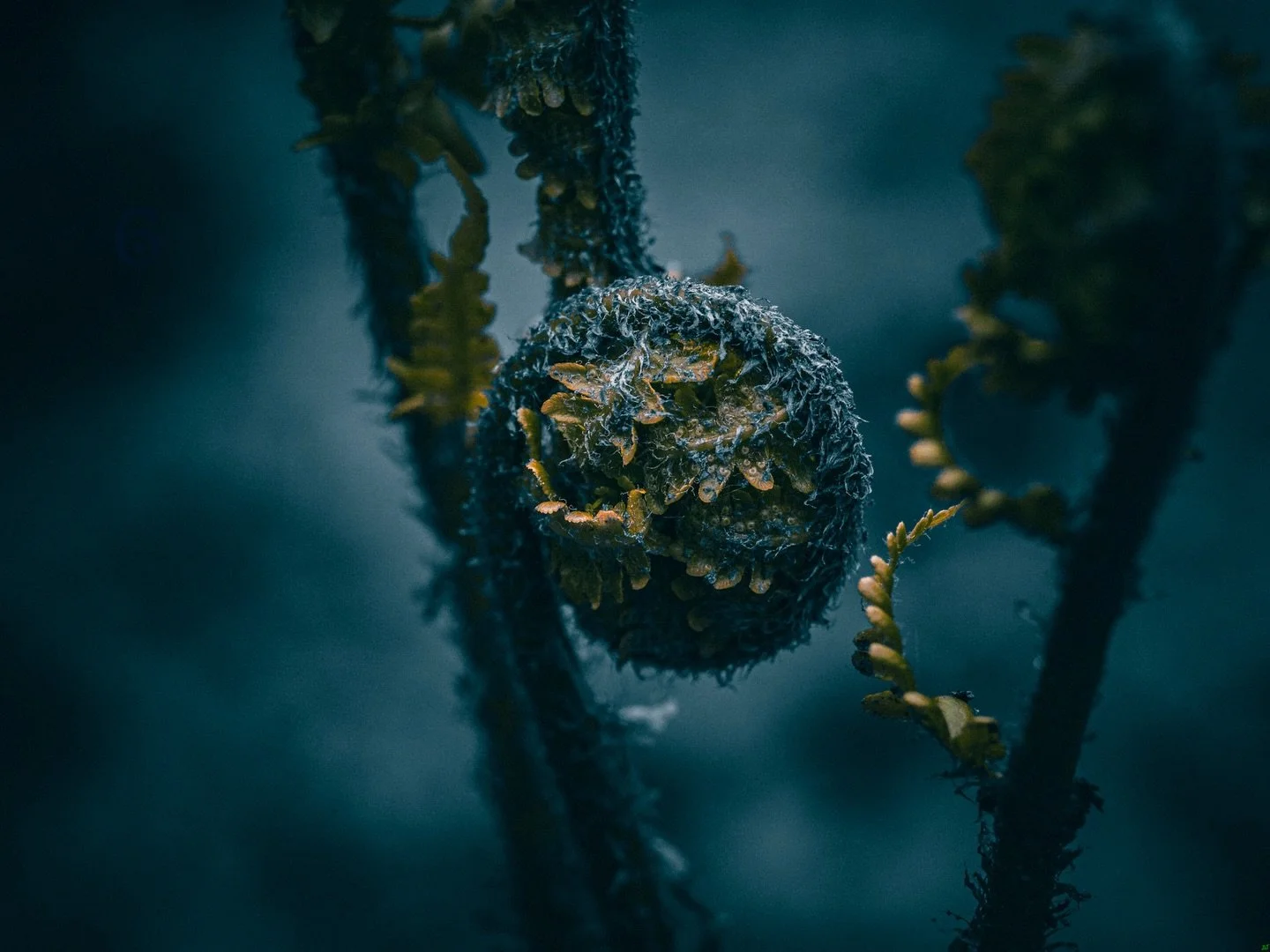 Resilience diary- pain today: 6/10. Photo: "Őűť&iacute;ńğ" 

My fondest childhood memory (to categorise it that way) would be at the end of childhood and the start of those dreadful teenage years where i turned a bit feral. It was a day out