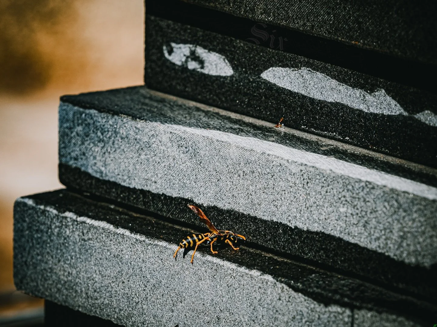 Resilience diary- pain today: Six/10. Photo: "Bō&oslash;žę" 

I don't remember my first alcoholic drink however can be pretty confident it was some variation of wine, likely kosher wine on a Friday night for Shabbat or port wine which was a