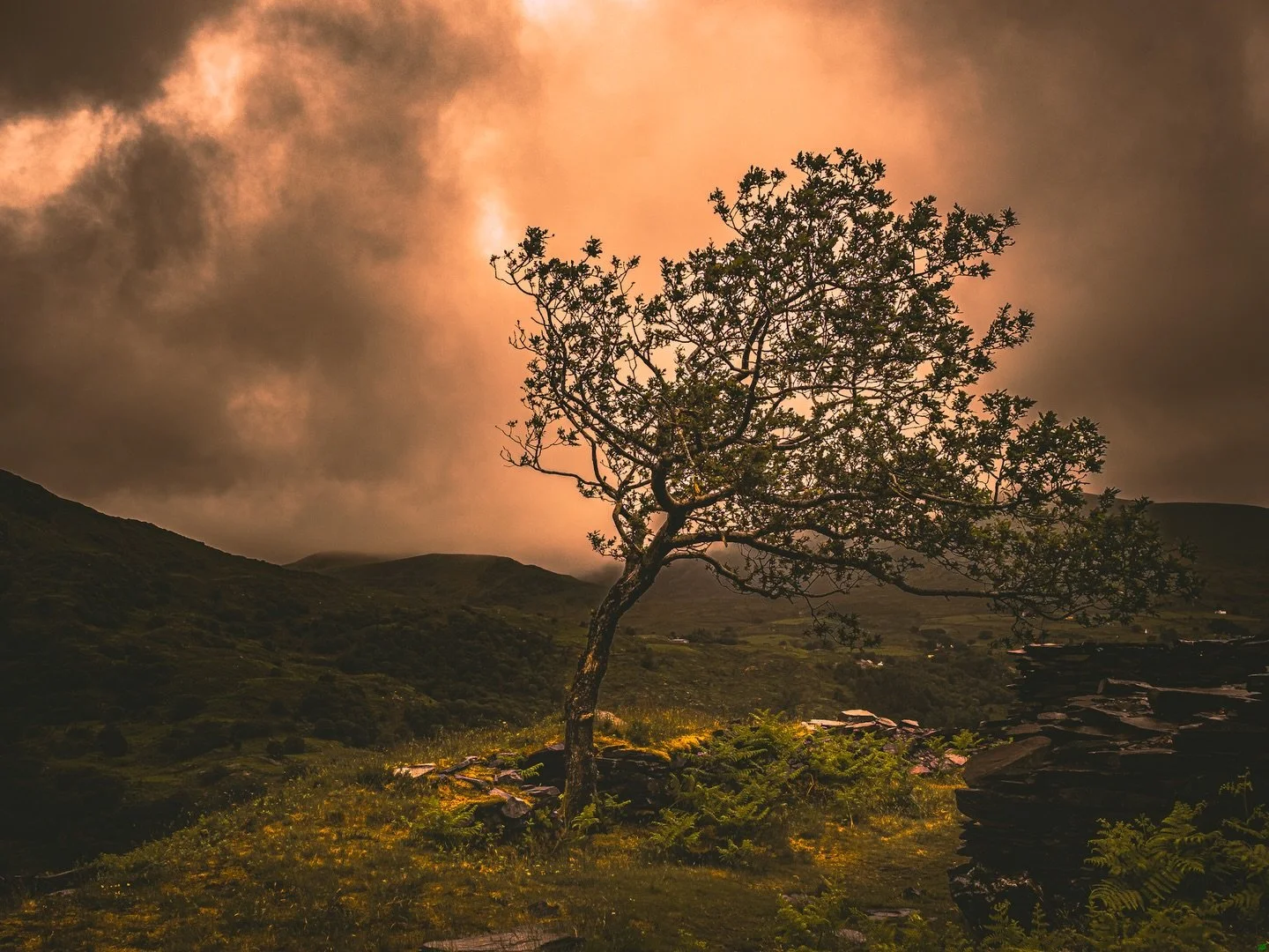 Resilience diary- pain today: 7/10. Photo: "Ě&acirc;ṟpħǒṉę&scaron;" 

I bought my first Walkman when i was thirteen. It was pink though i think the marketing said it was a reddish colour mine was definitely pink. I liked the colour as i did