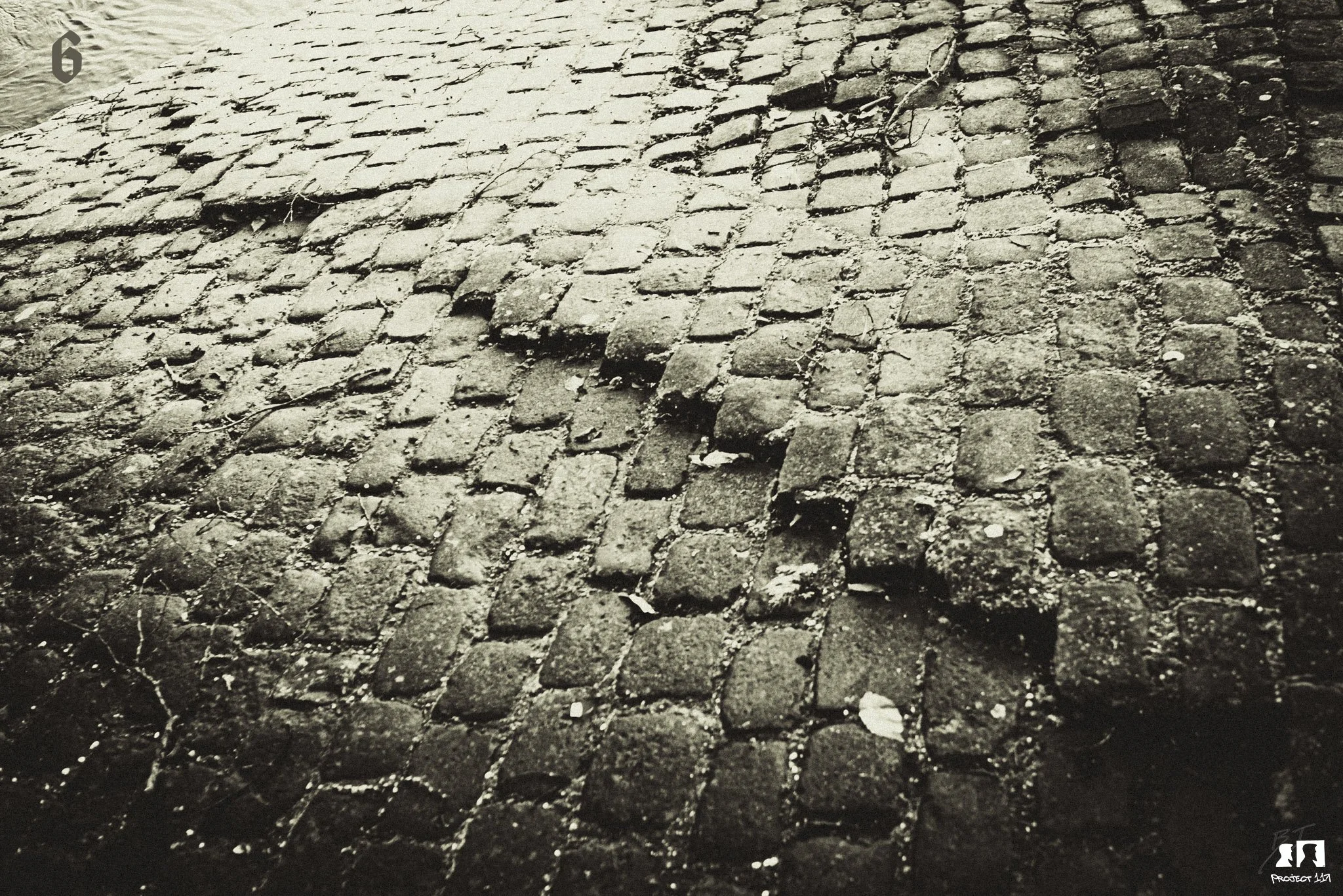 20221231 6 path ahead.jpg