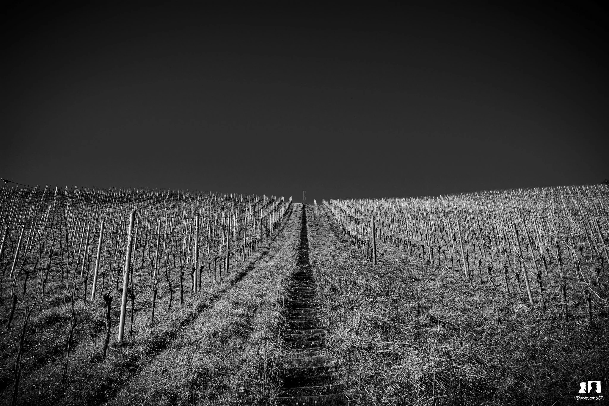 20230219 6 climb.jpg