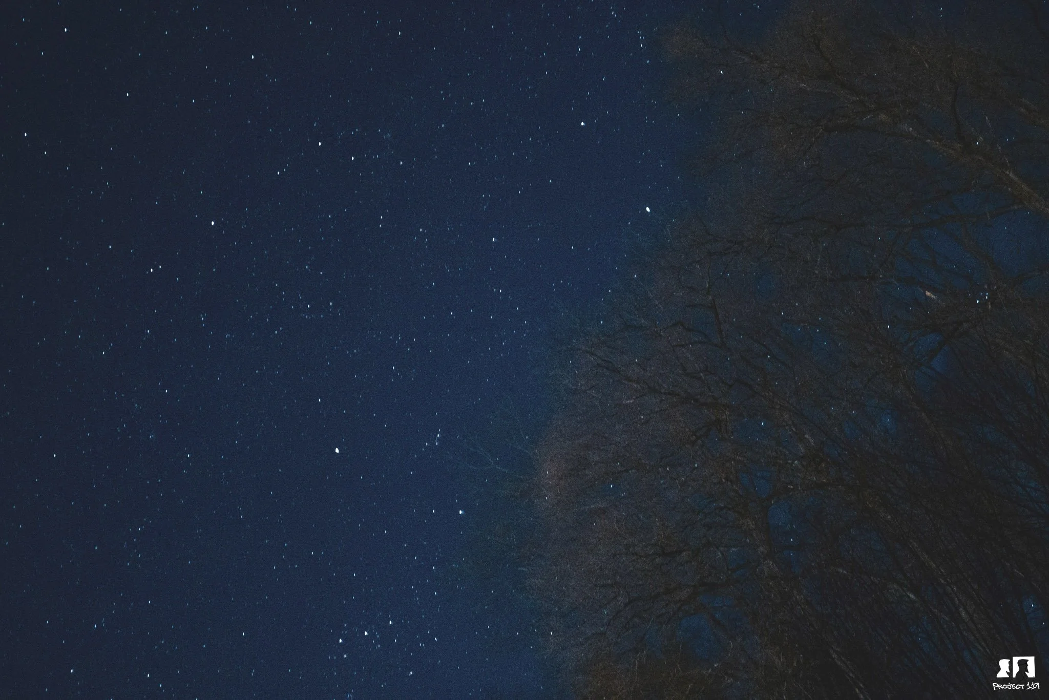 20230226 5 tree times.jpg