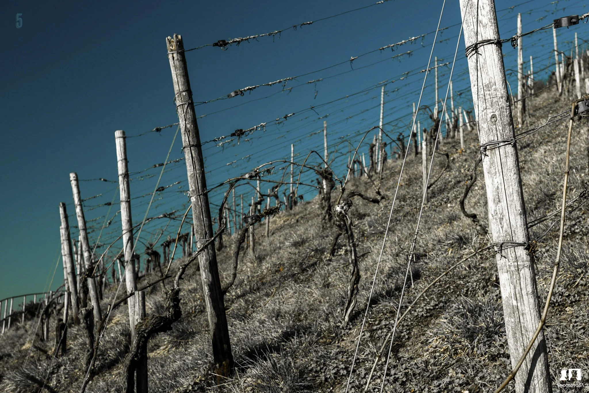 20230223 5 tones.jpg