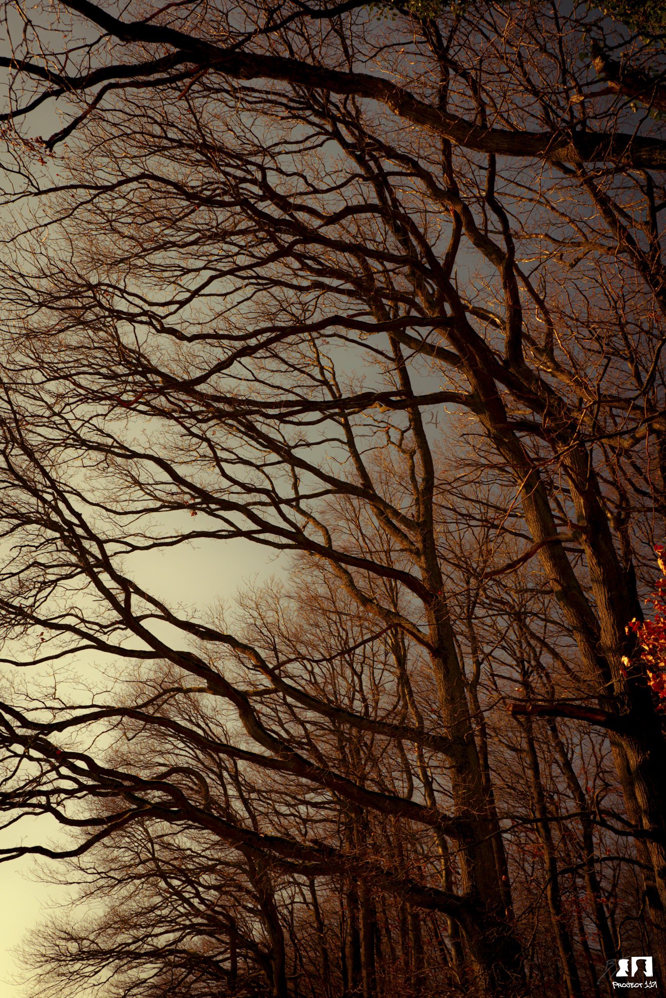 20230216 4 morning reach.jpg