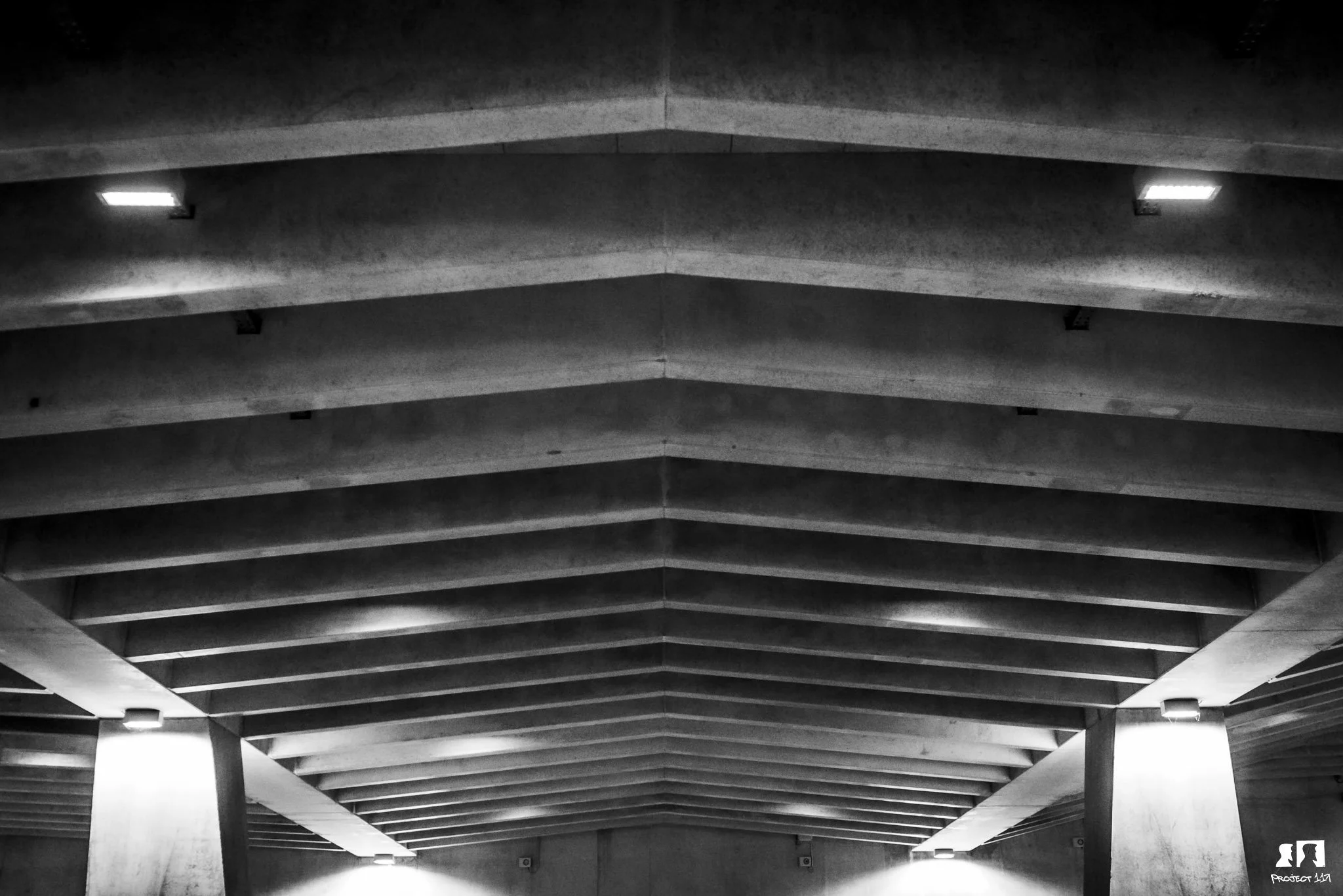 20230201 6 Symmetry or Chaos.jpg