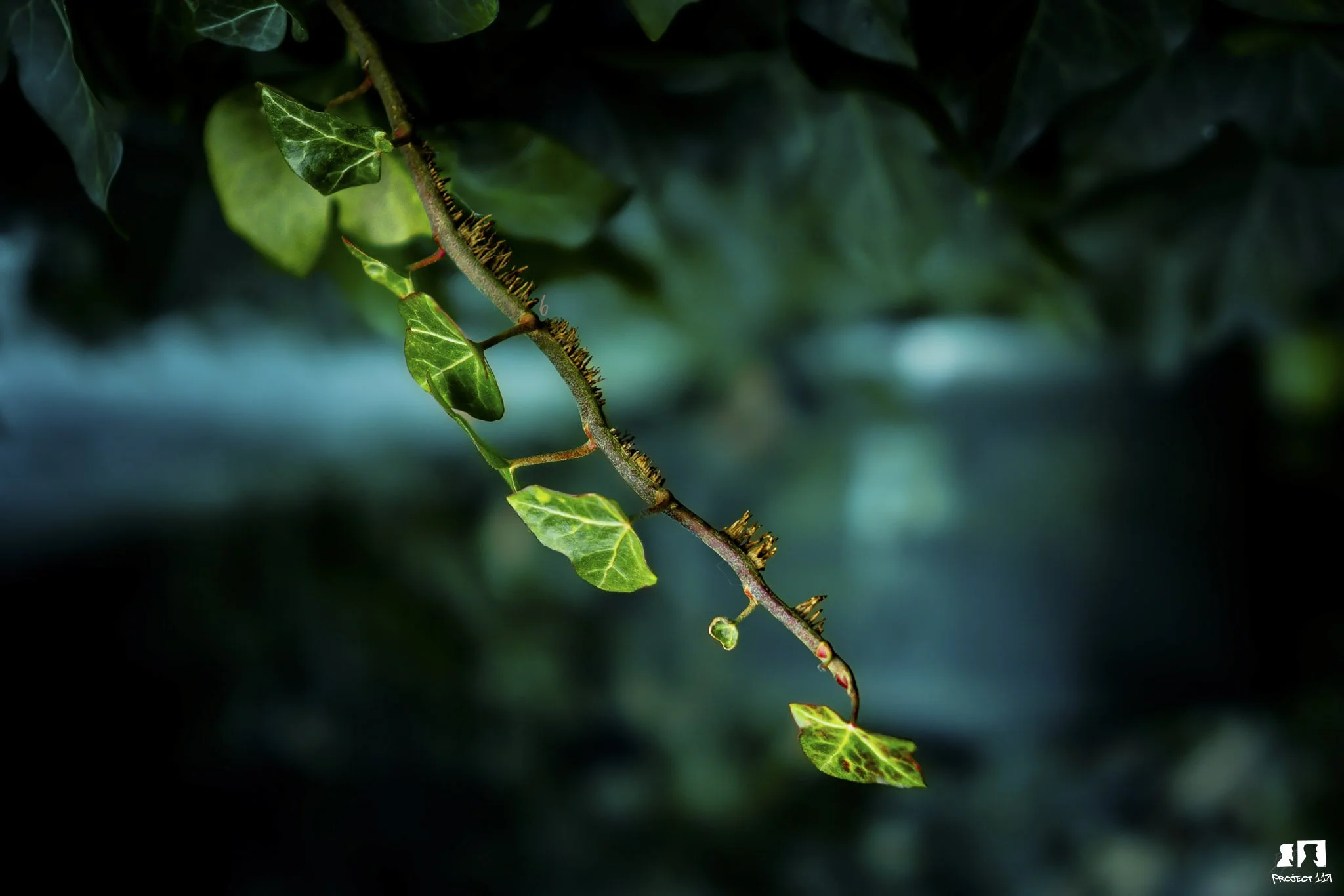 20230207 6 Energy Release.jpg