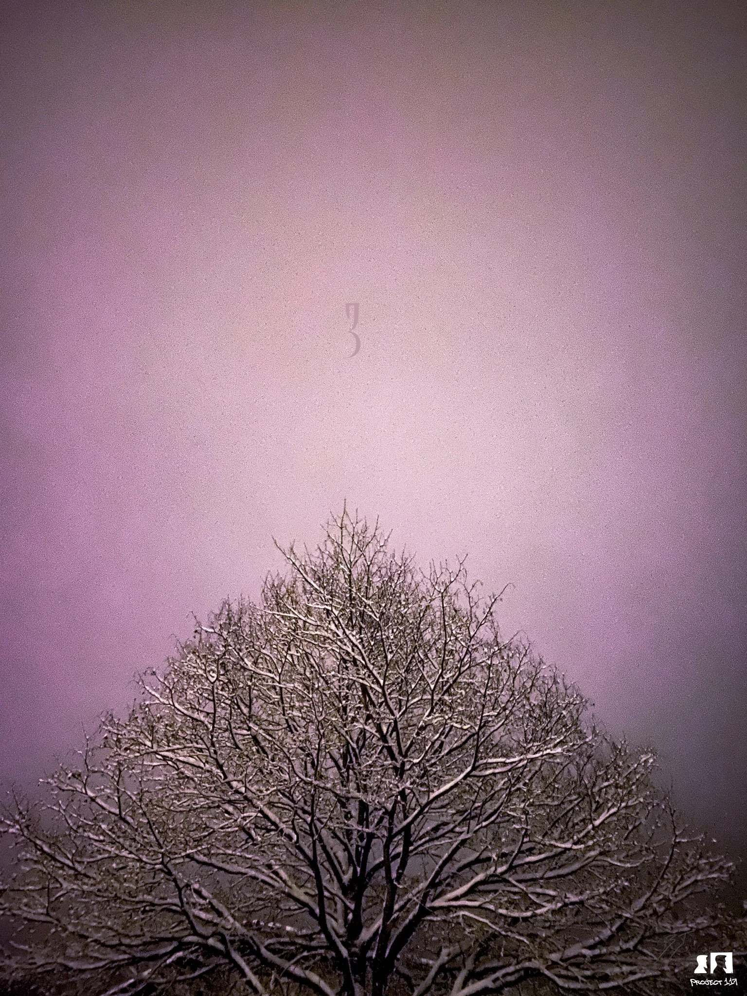 20221225 3 Huben Tree.jpg