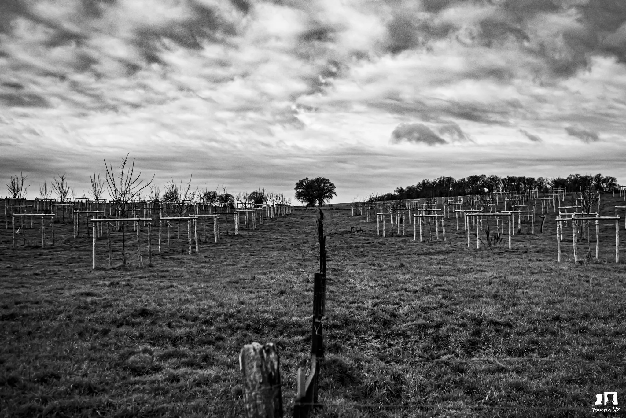 20230205 7 Rolling About.jpg