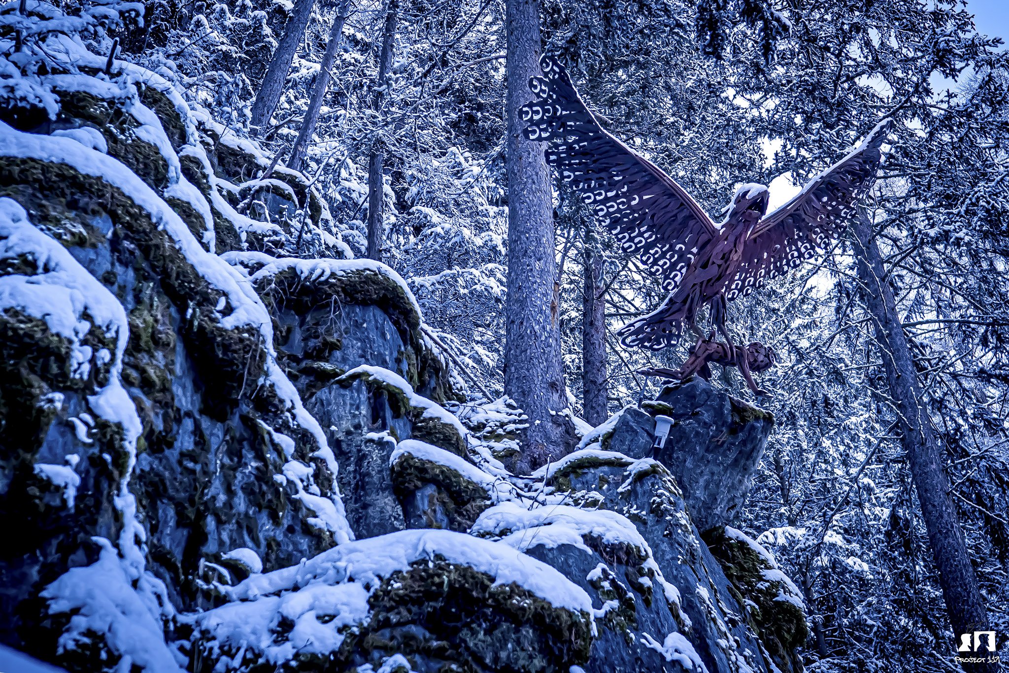 20221224 4 Bird snow Huben.jpg